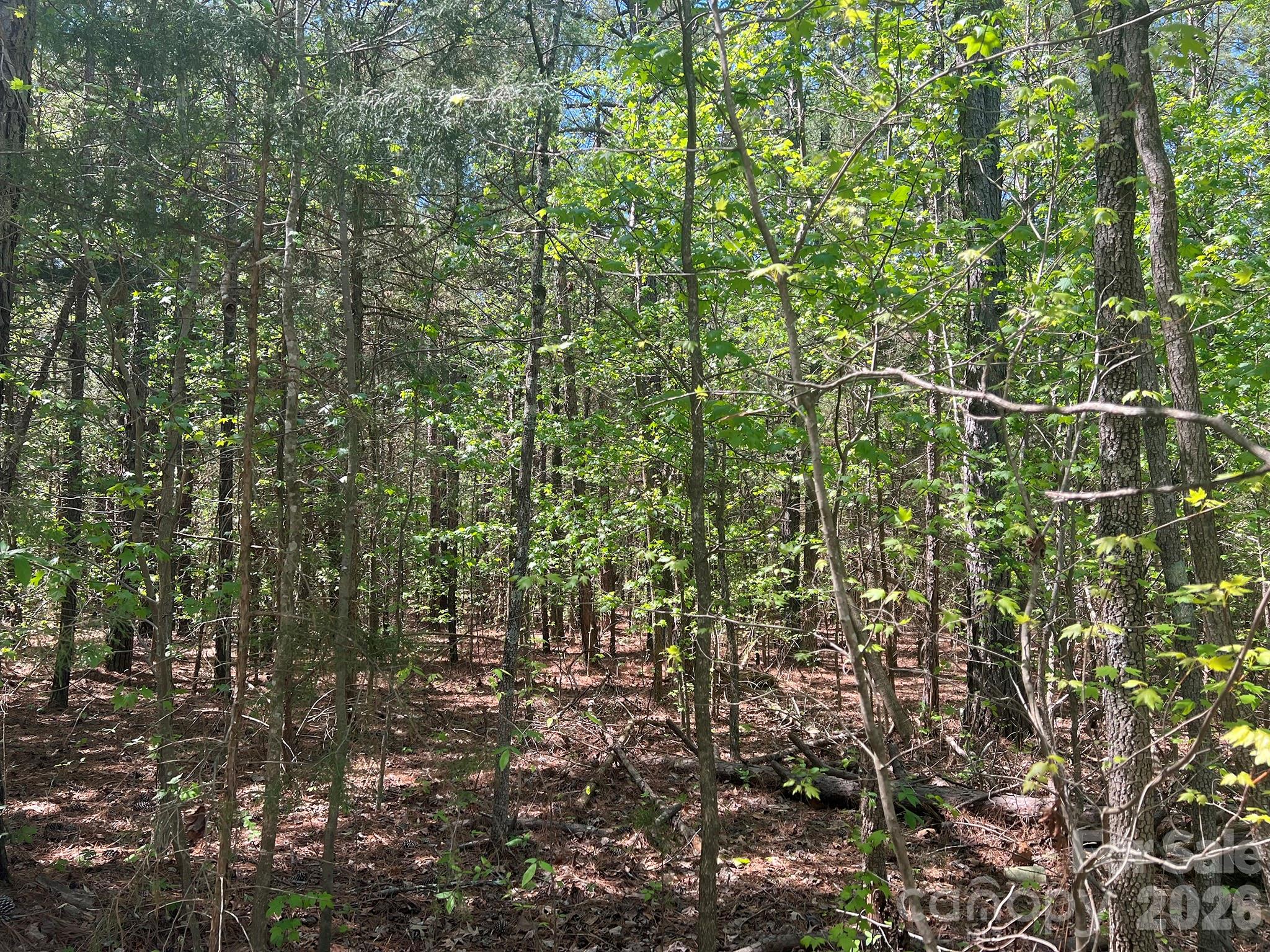 8320 Waxhaw Creek Road Property Photo 17