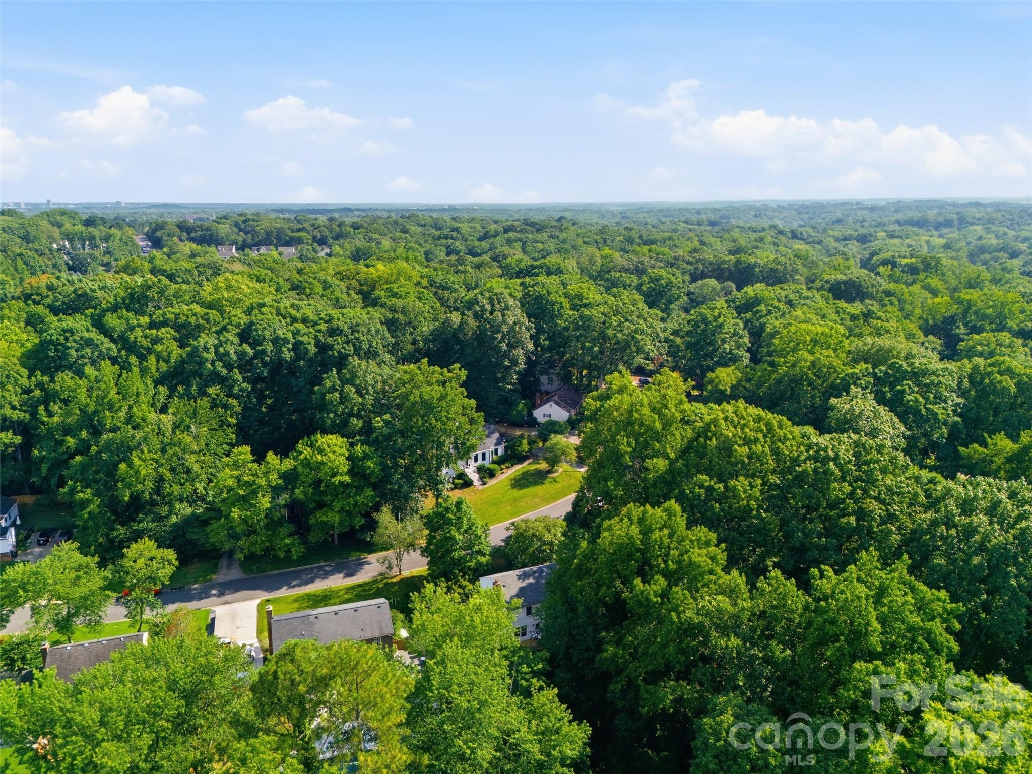 2811 Creekbed Lane Property Photo 38