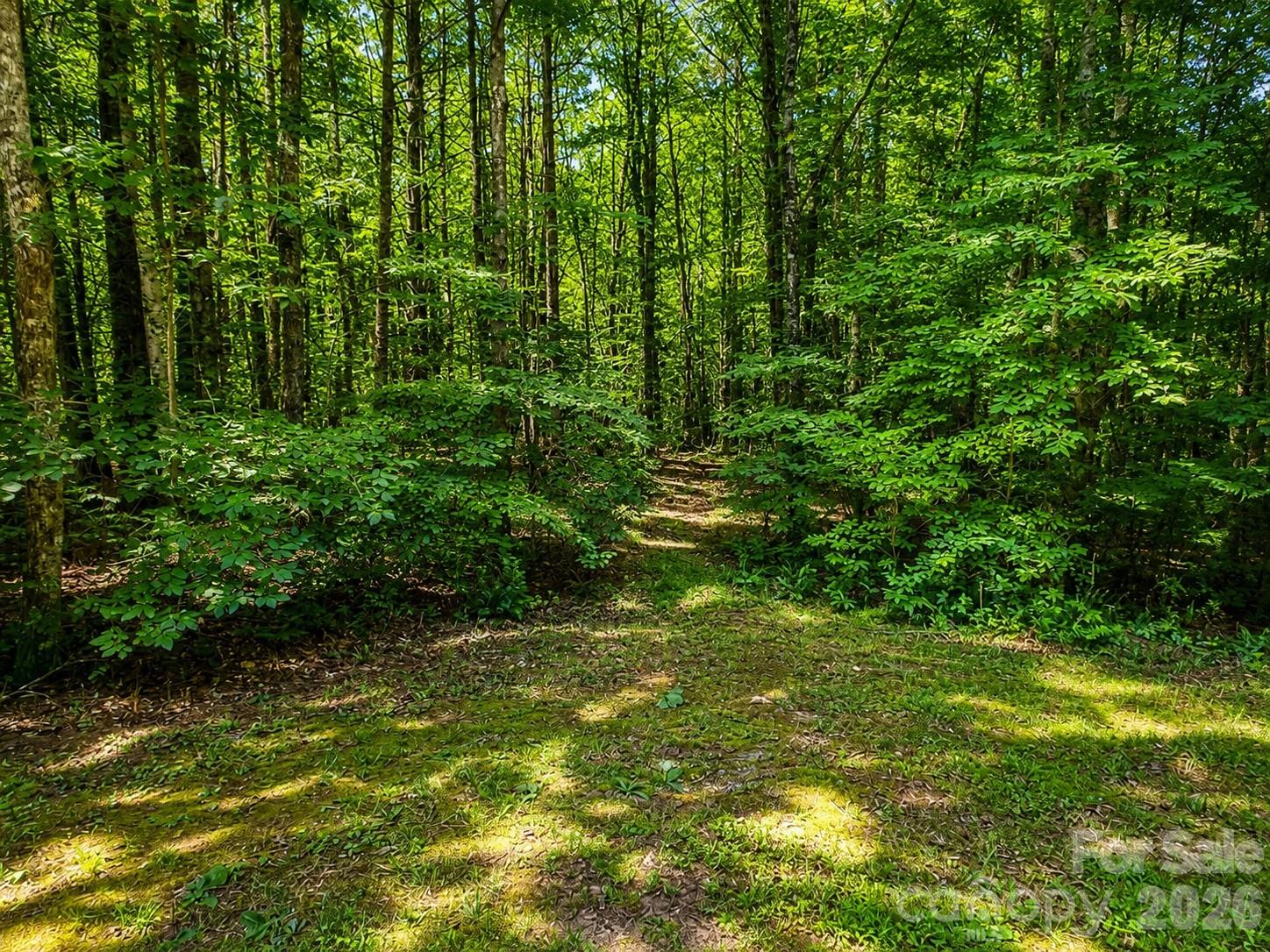 49 Trillium Trail 285 Property Photo 3