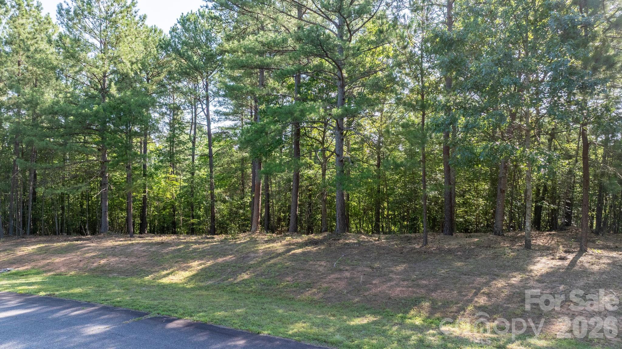 312 Twin Cove Drive 137 Property Photo 4