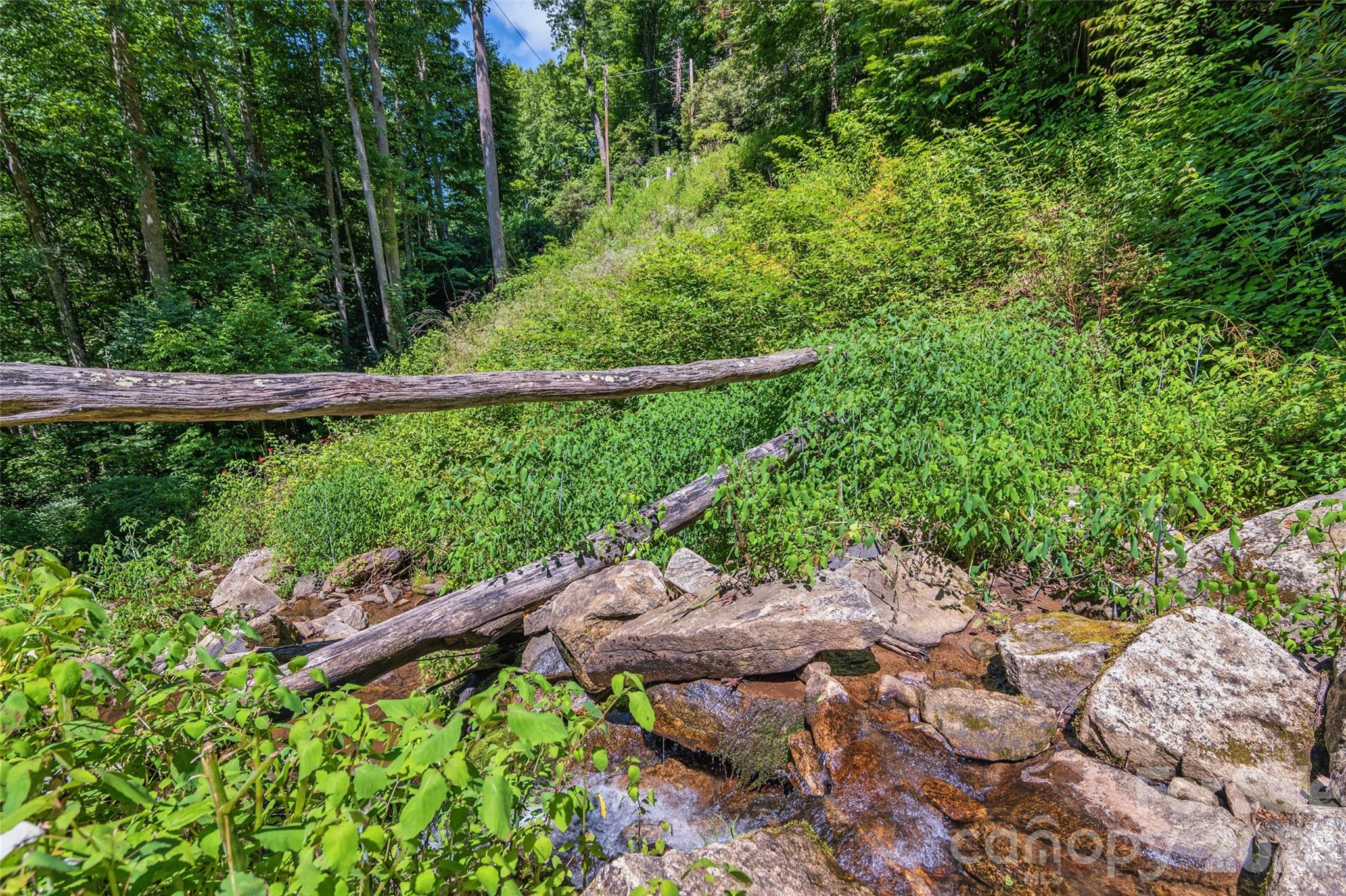 1482 Howard Moore Road Property Photo 40