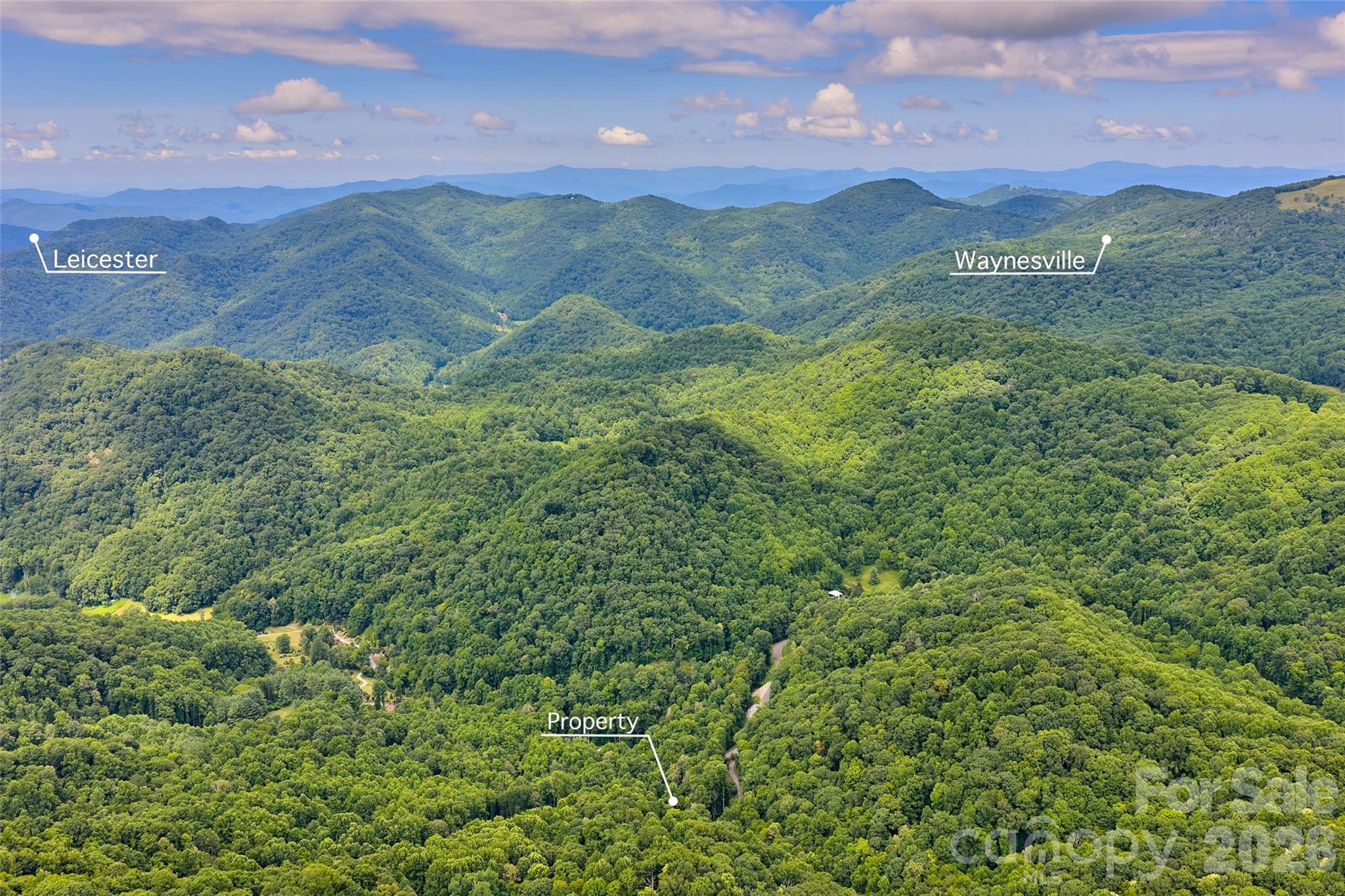 1482 Howard Moore Road Property Photo 46