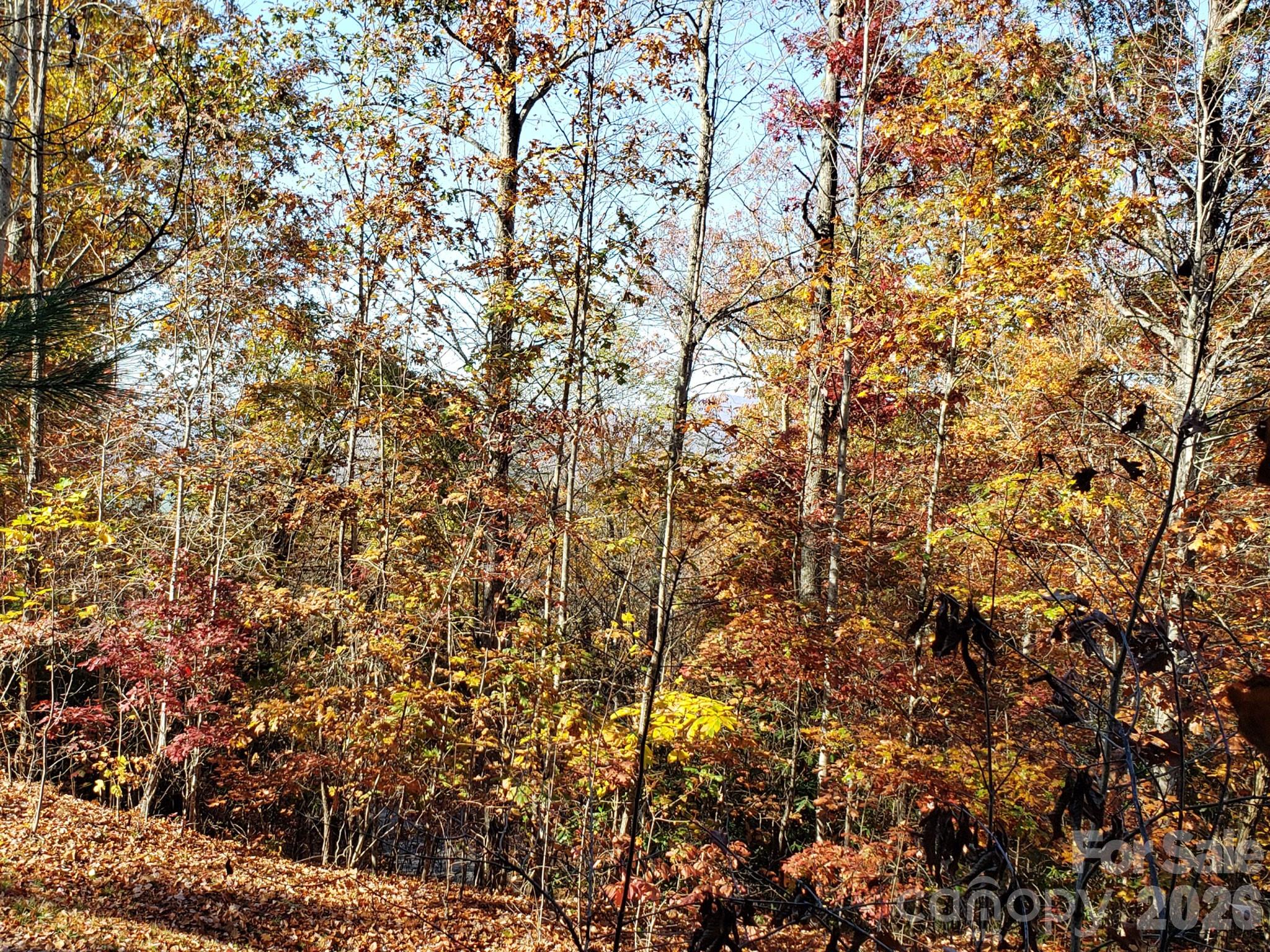 TBD Top Oaks Lane Lot 58