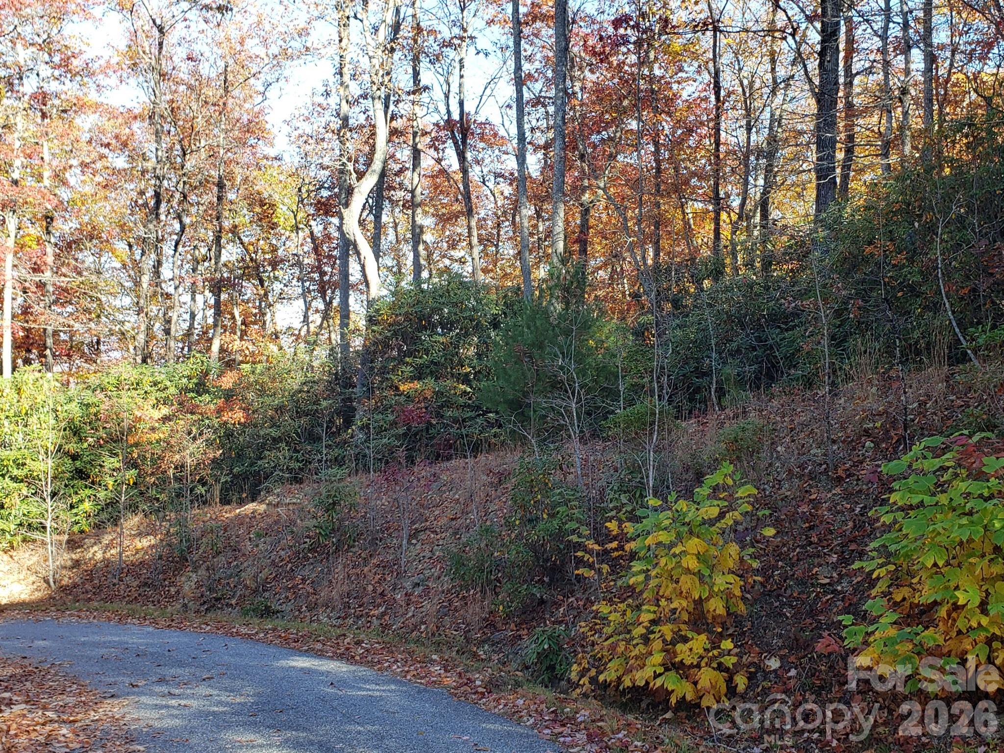Tbd Top Oaks Lane Lot 58 Property Photo 4