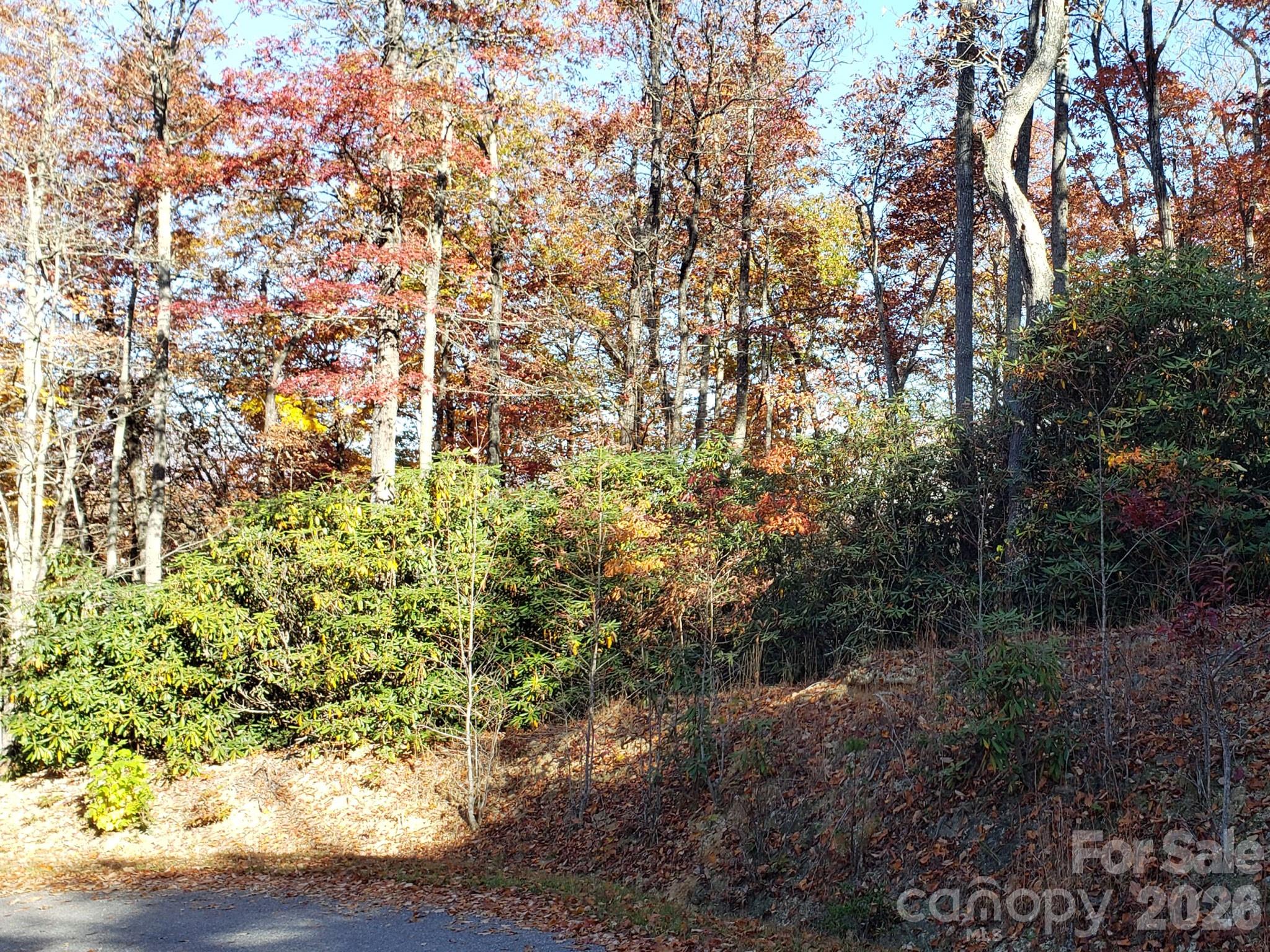 Tbd Top Oaks Lane Lot 58 Property Photo 6