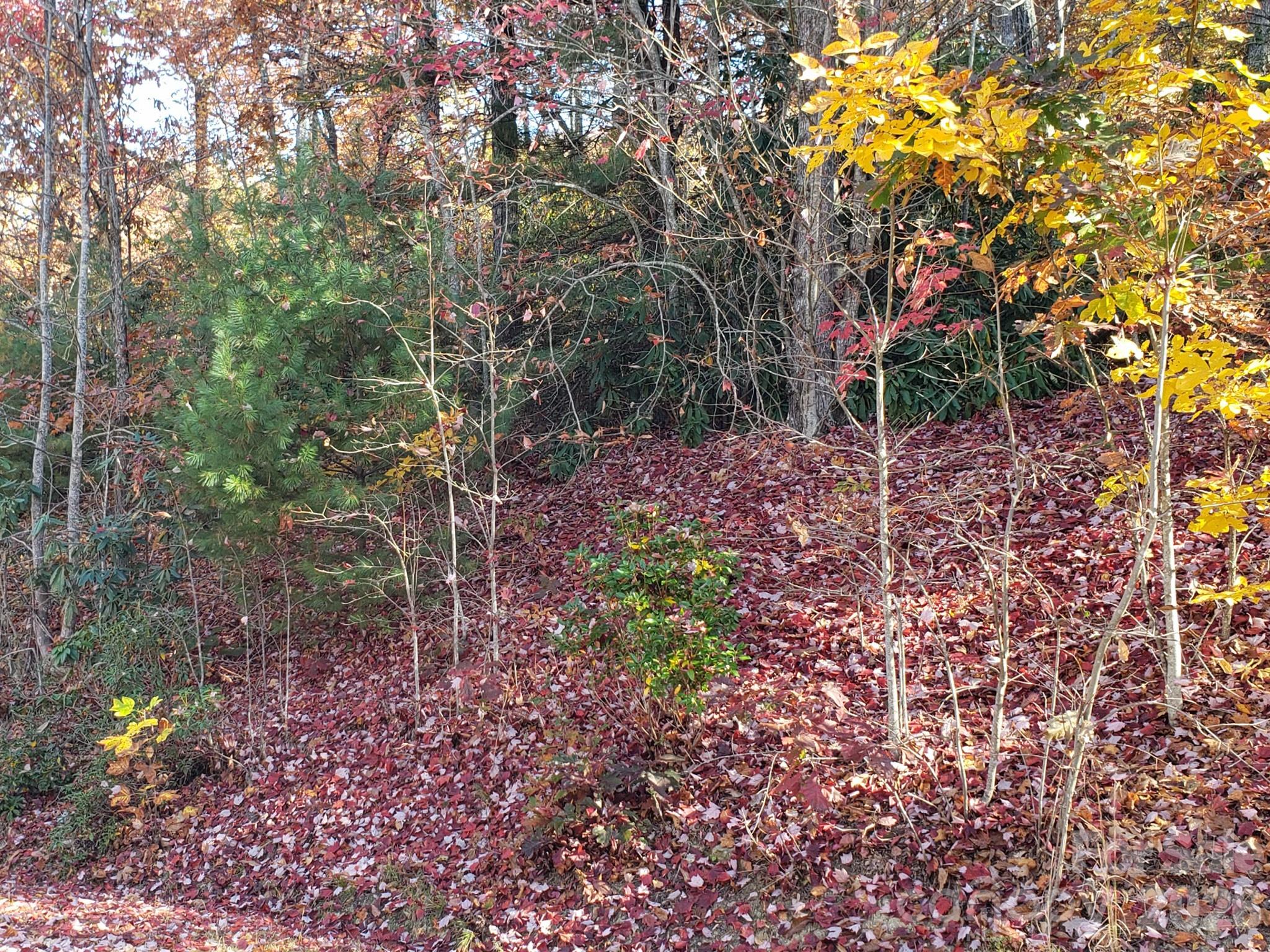 Tbd Top Oaks Lane Lot 58 Property Photo 7