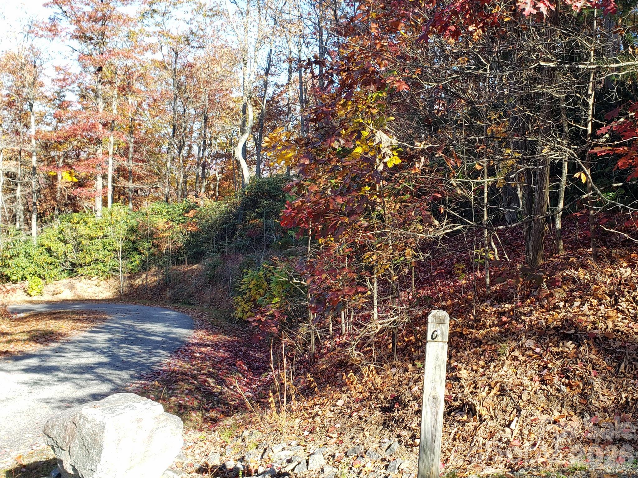 Tbd Top Oaks Lane Lot 58 Property Photo 8