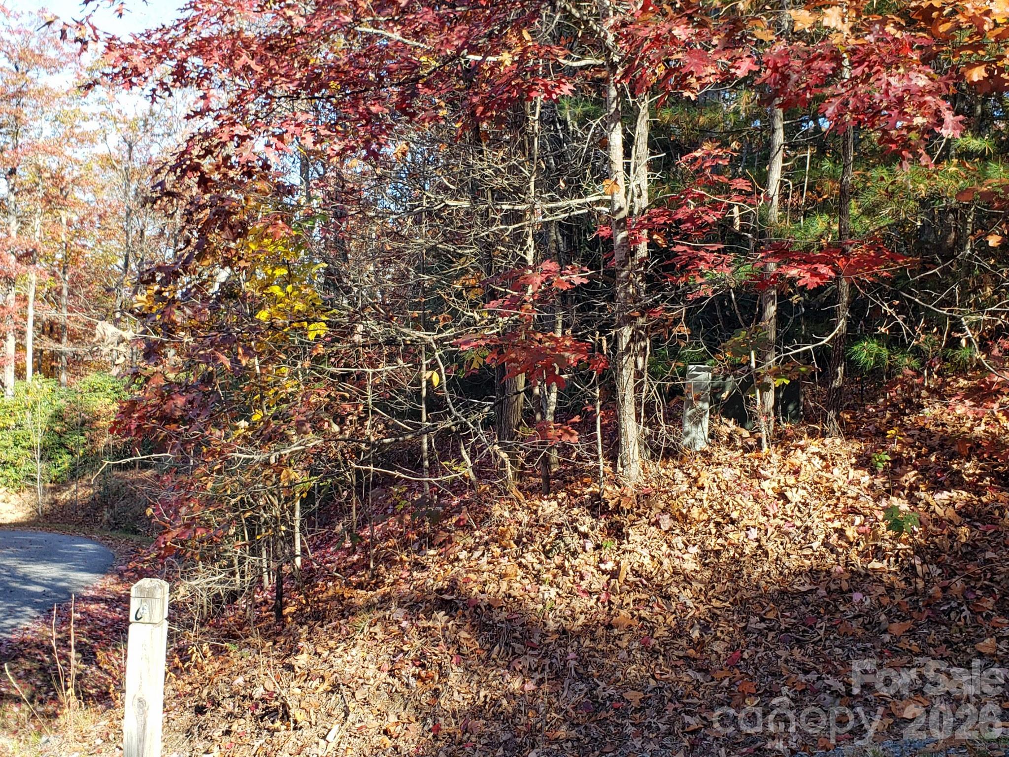 Tbd Top Oaks Lane Lot 58 Property Photo 9