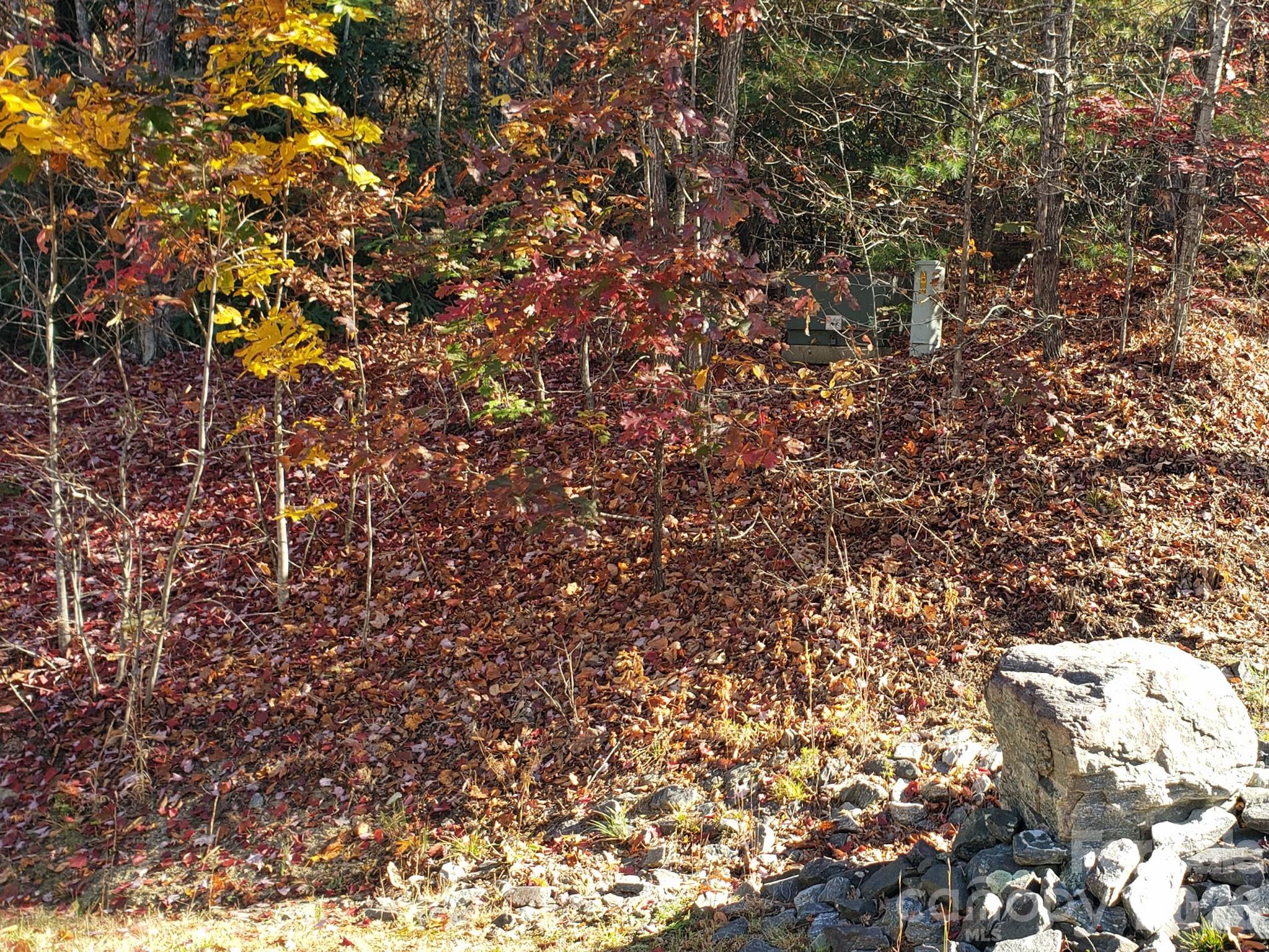 Tbd Top Oaks Lane Lot 58 Property Photo 10