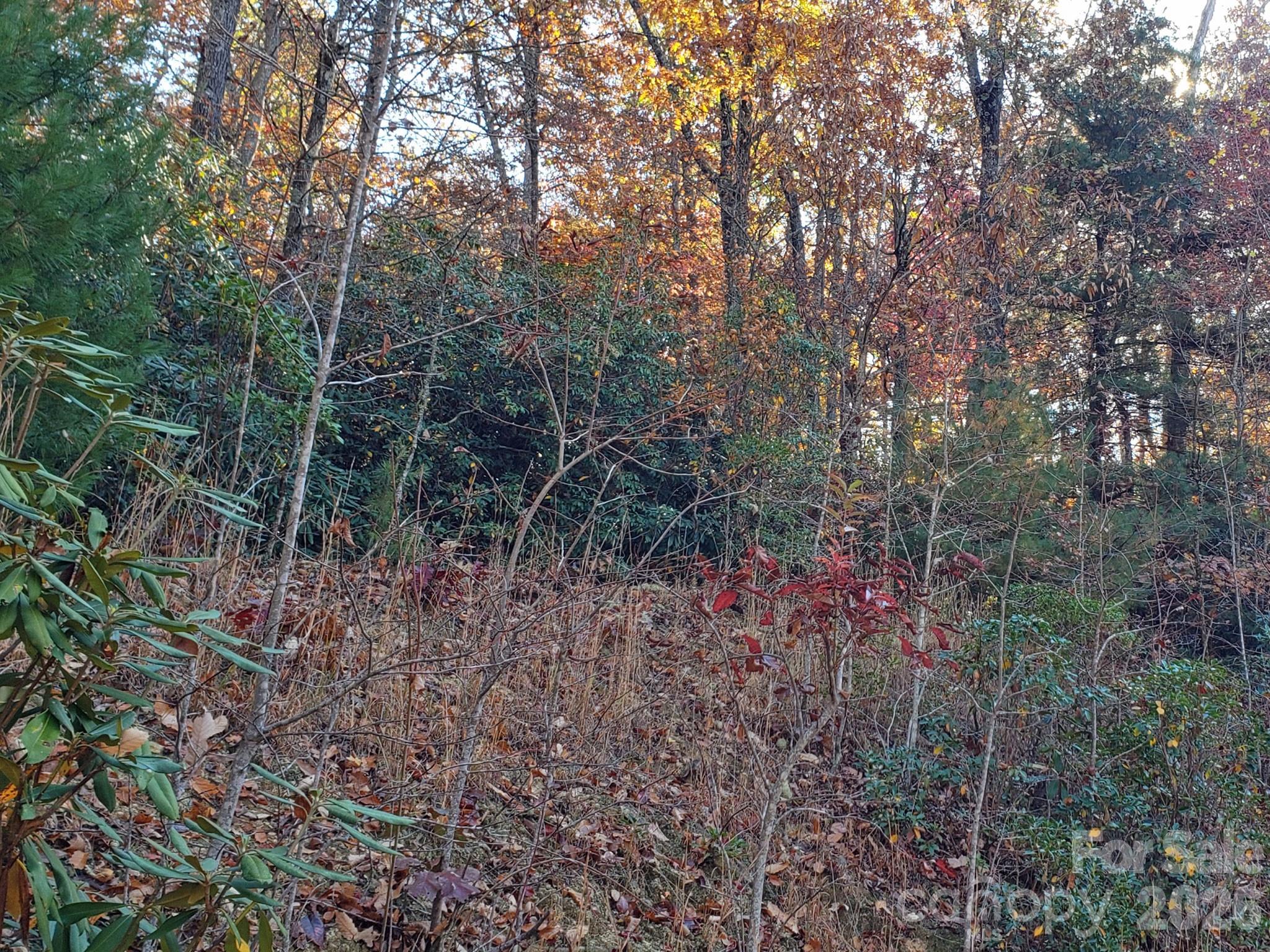 Tbd Top Oaks Lane Lot 58 Property Photo 11
