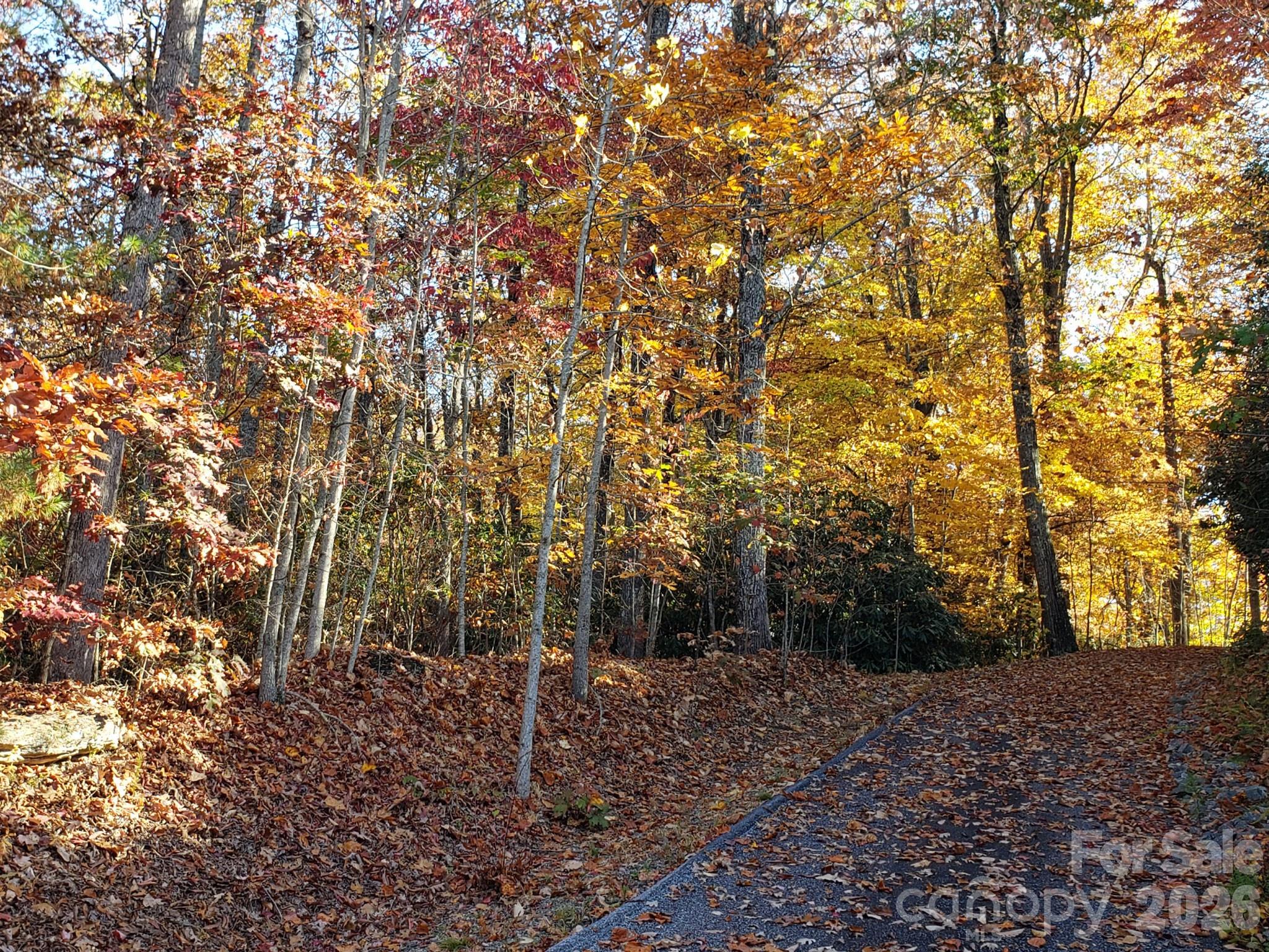 Tbd Top Oaks Lane Lot 58 Property Photo 12