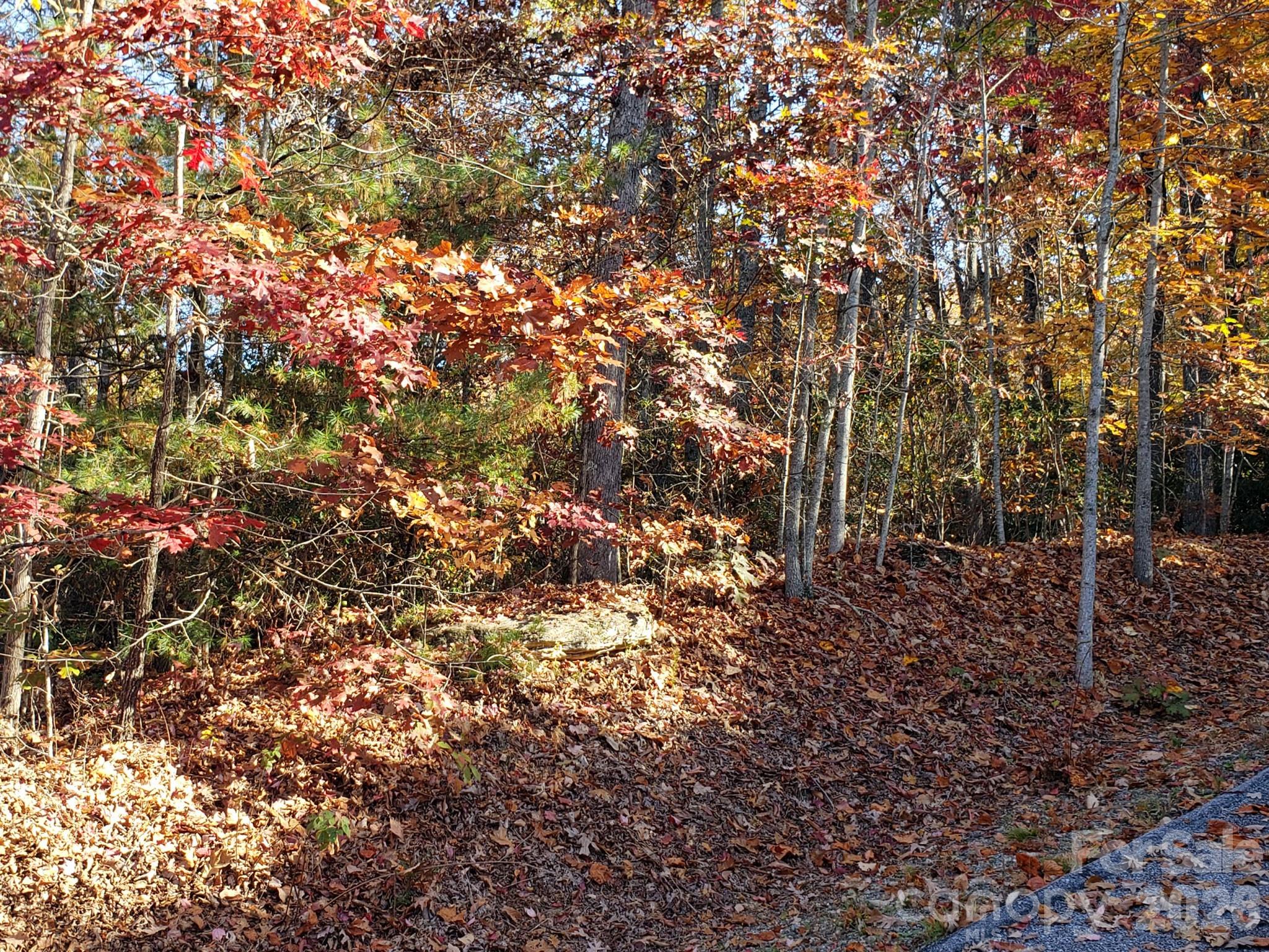 Tbd Top Oaks Lane Lot 58 Property Photo 13