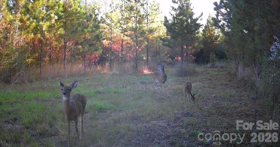 7848 Nc Hwy 47 Highway Property Photo 46
