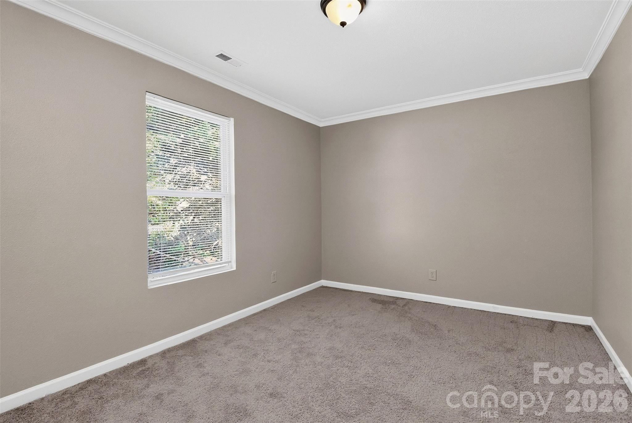 209 Farm Springs Drive Property Photo 38