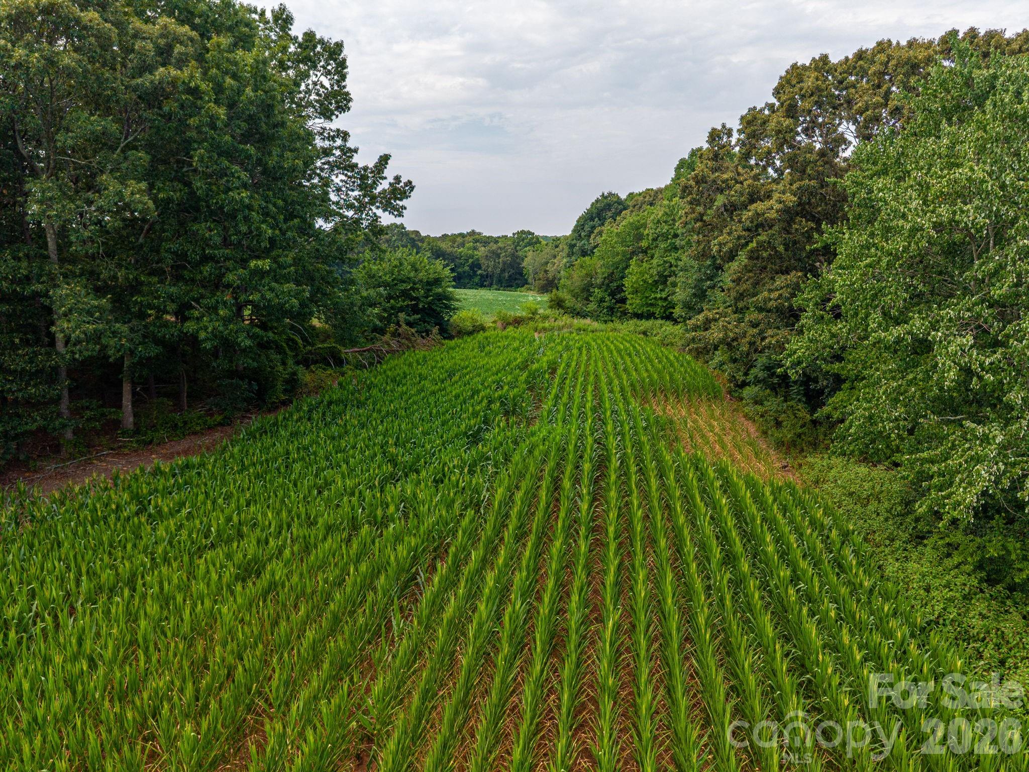 000 Frank Cline Road Property Photo 6