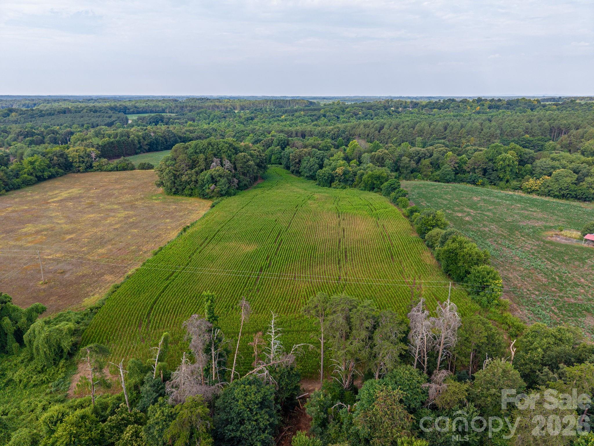 000 Frank Cline Road Property Photo 10