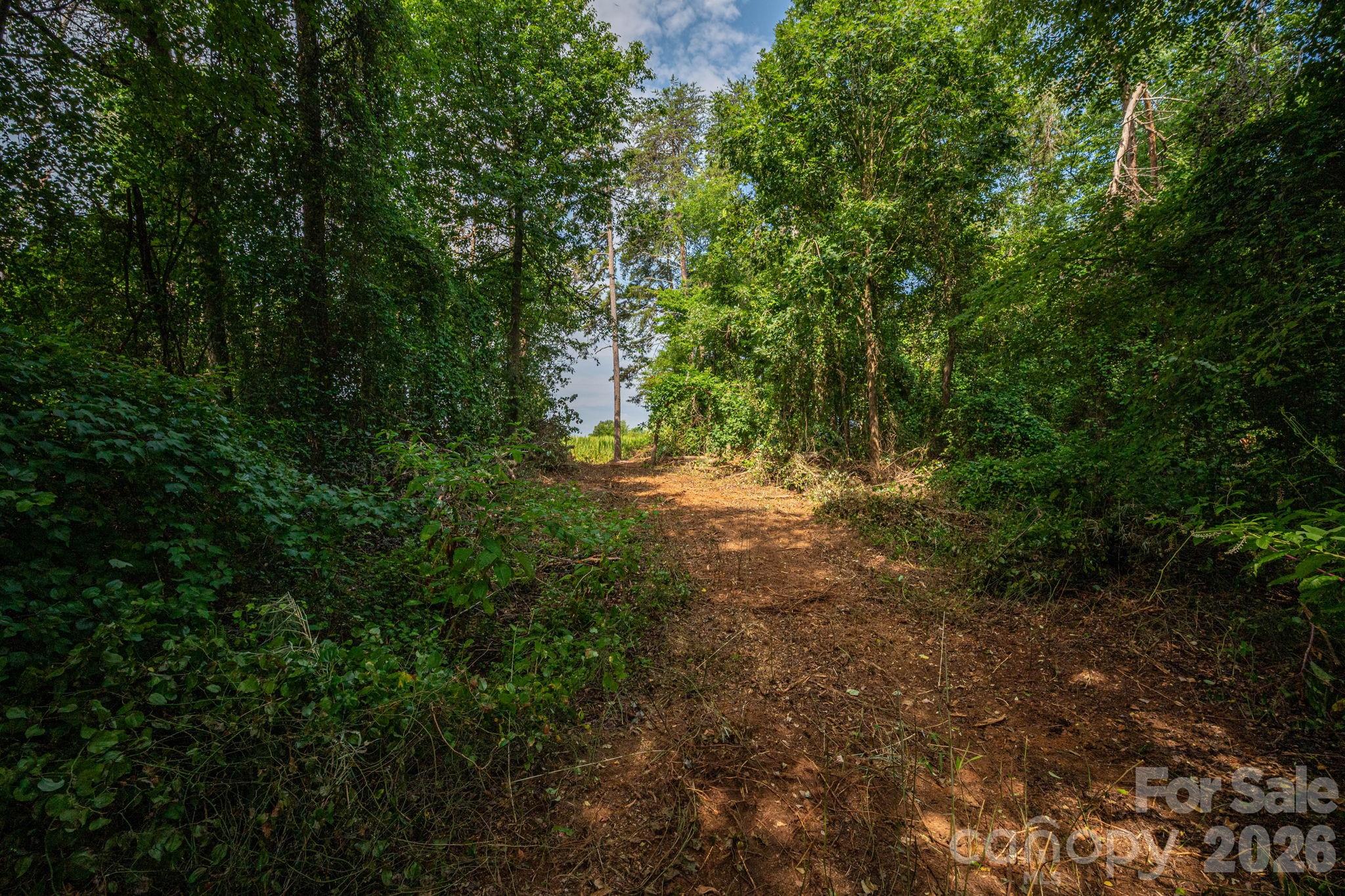 000 Frank Cline Road Property Photo 11