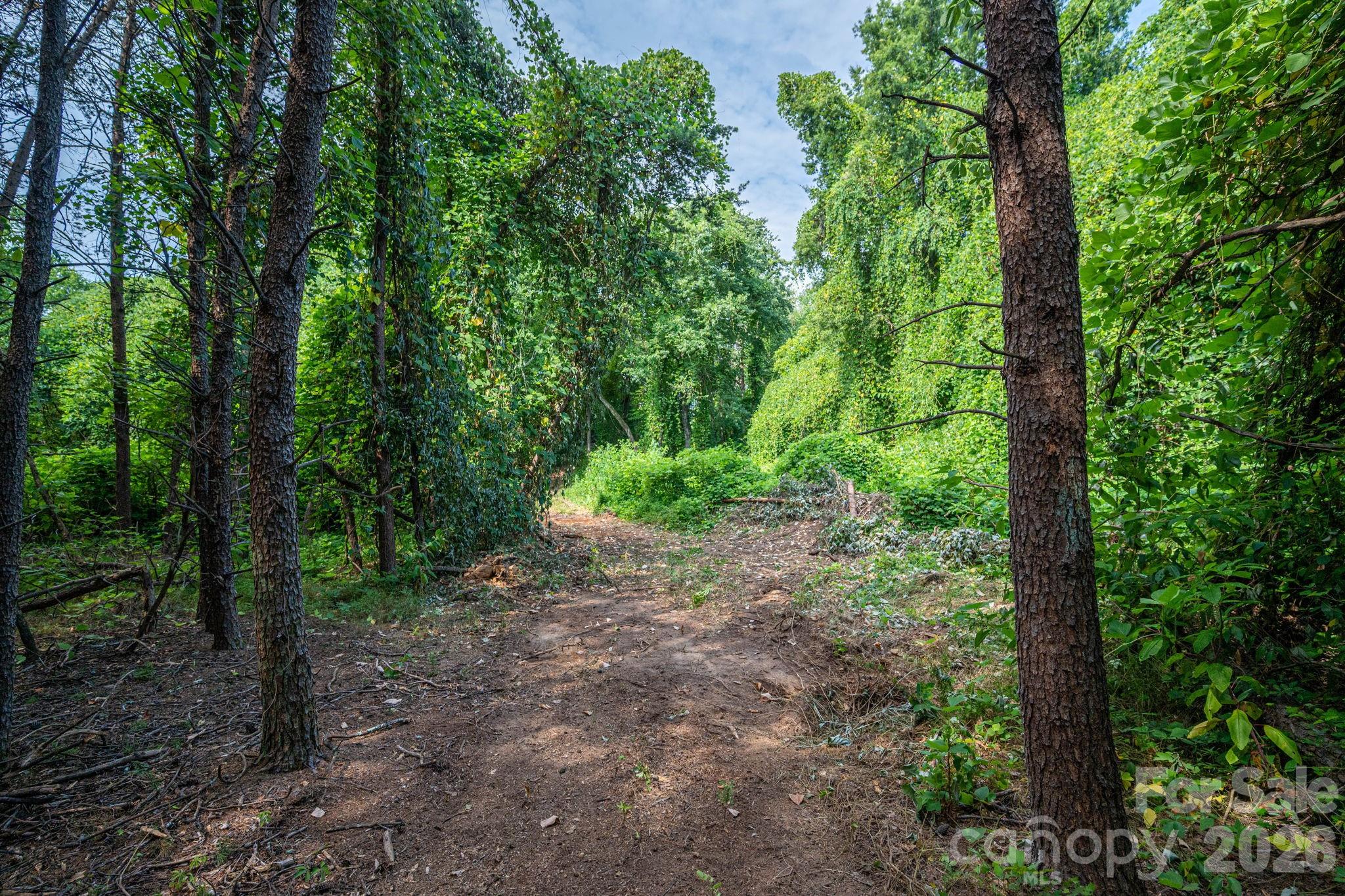 000 Frank Cline Road Property Photo 14