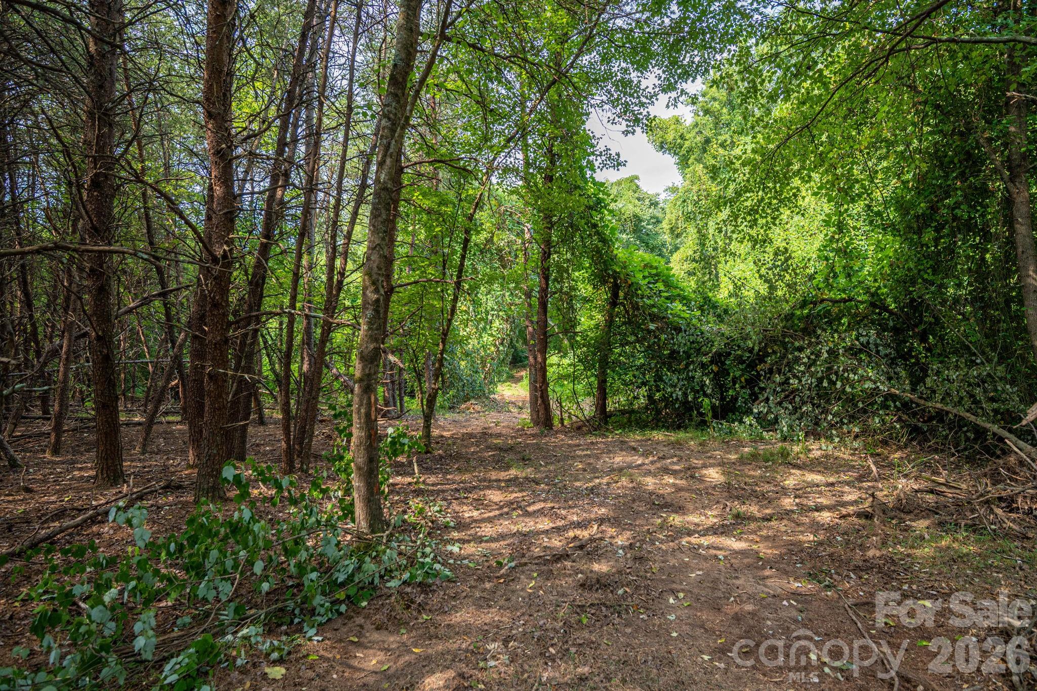 000 Frank Cline Road Property Photo 15