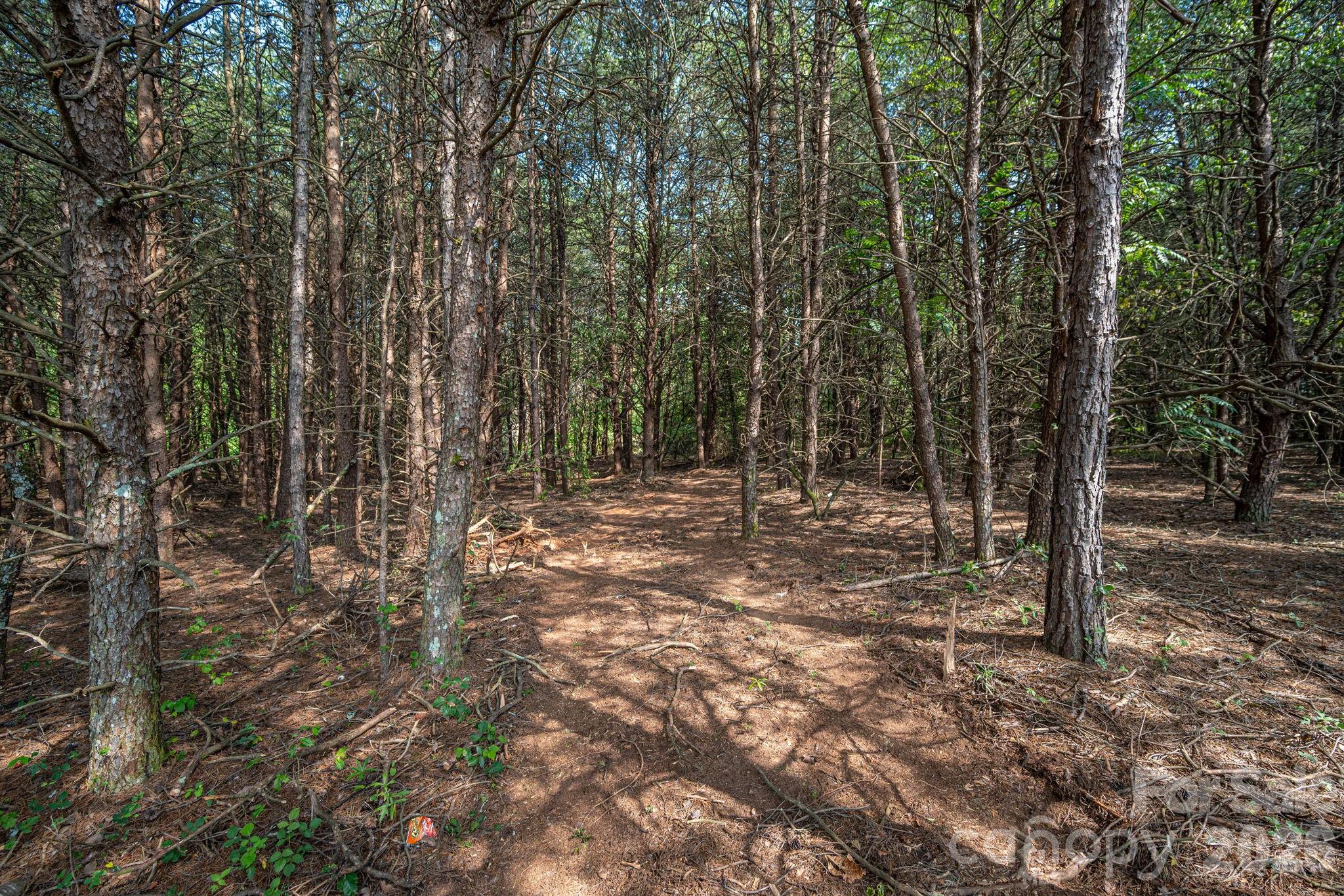 000 Frank Cline Road Property Photo 16