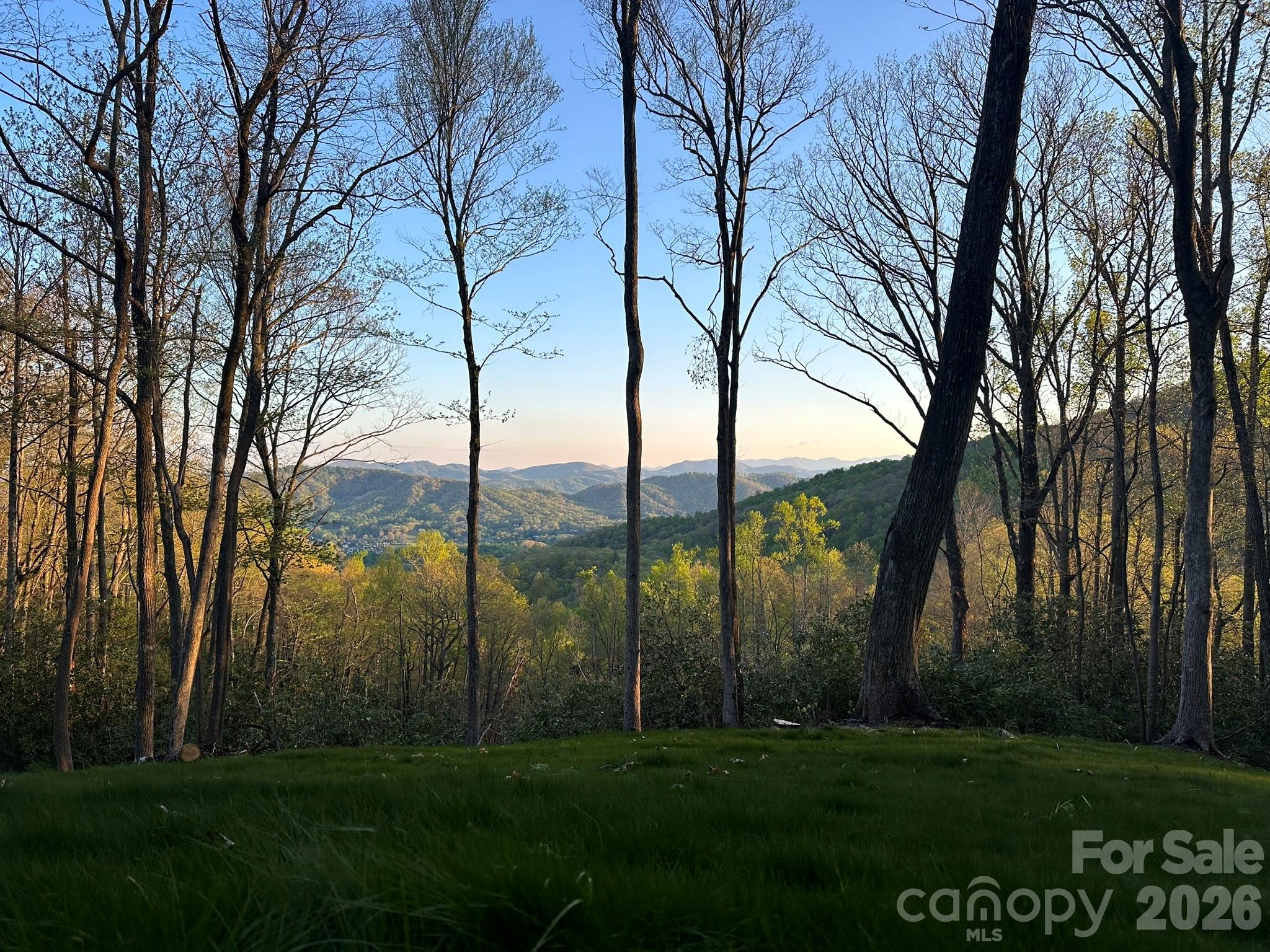 000 Hemlock Grove Trail 51 Property Photo 1