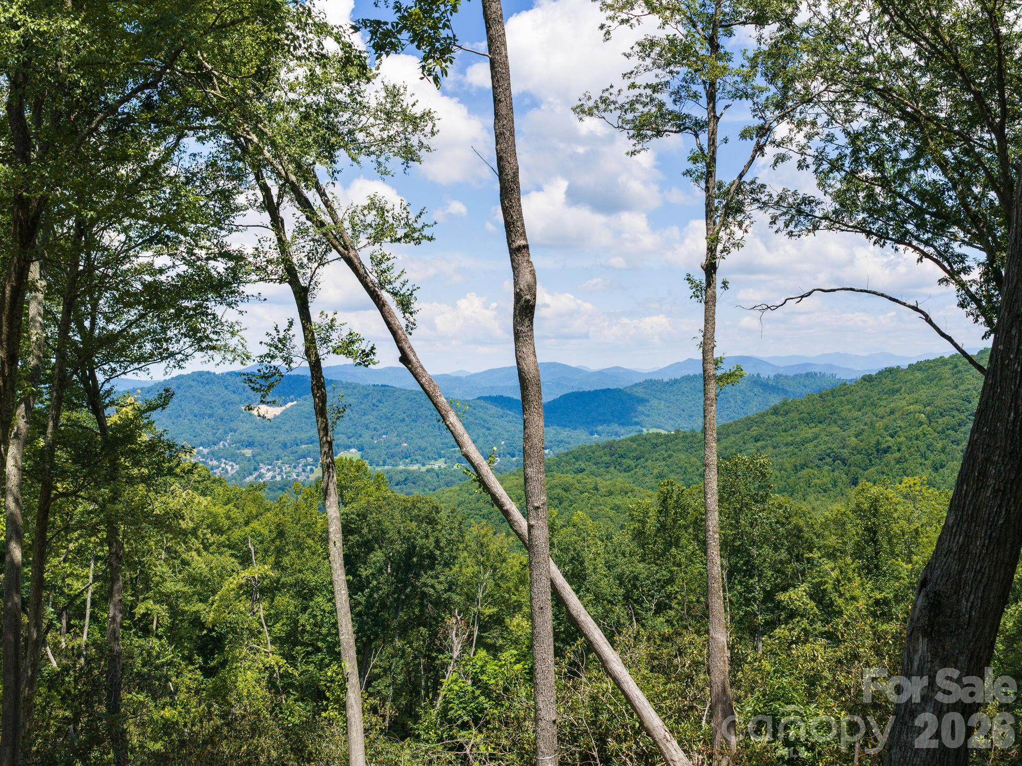 000 Hemlock Grove Trail 51 Property Photo 8