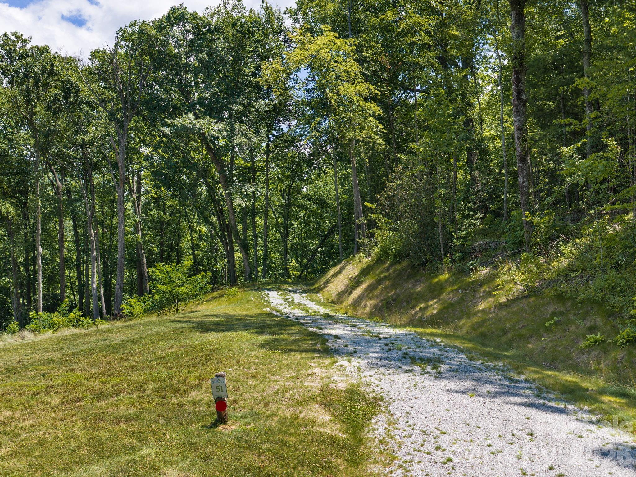 000 Hemlock Grove Trail 51 Property Photo 12