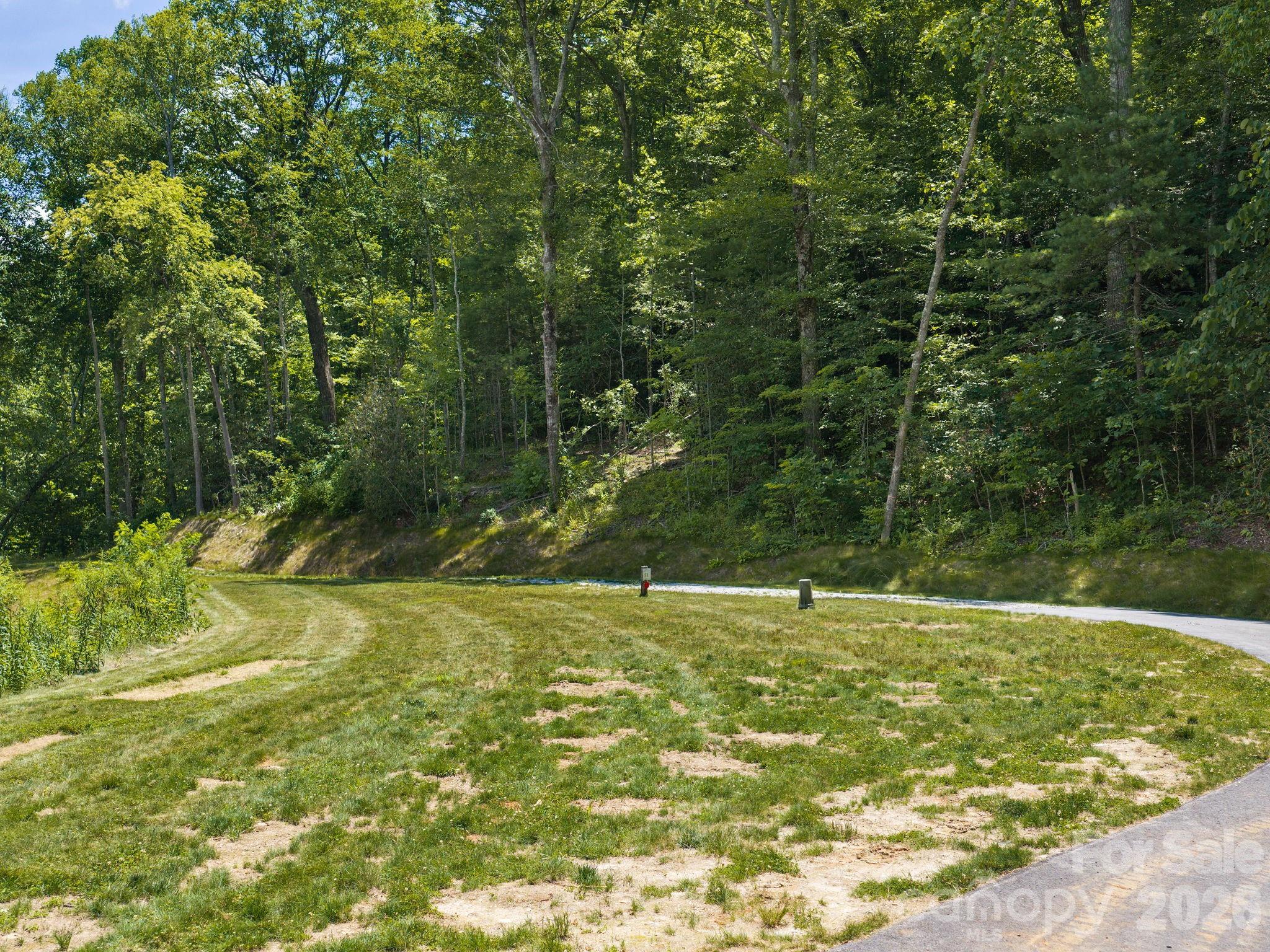 000 Hemlock Grove Trail 51 Property Photo 13