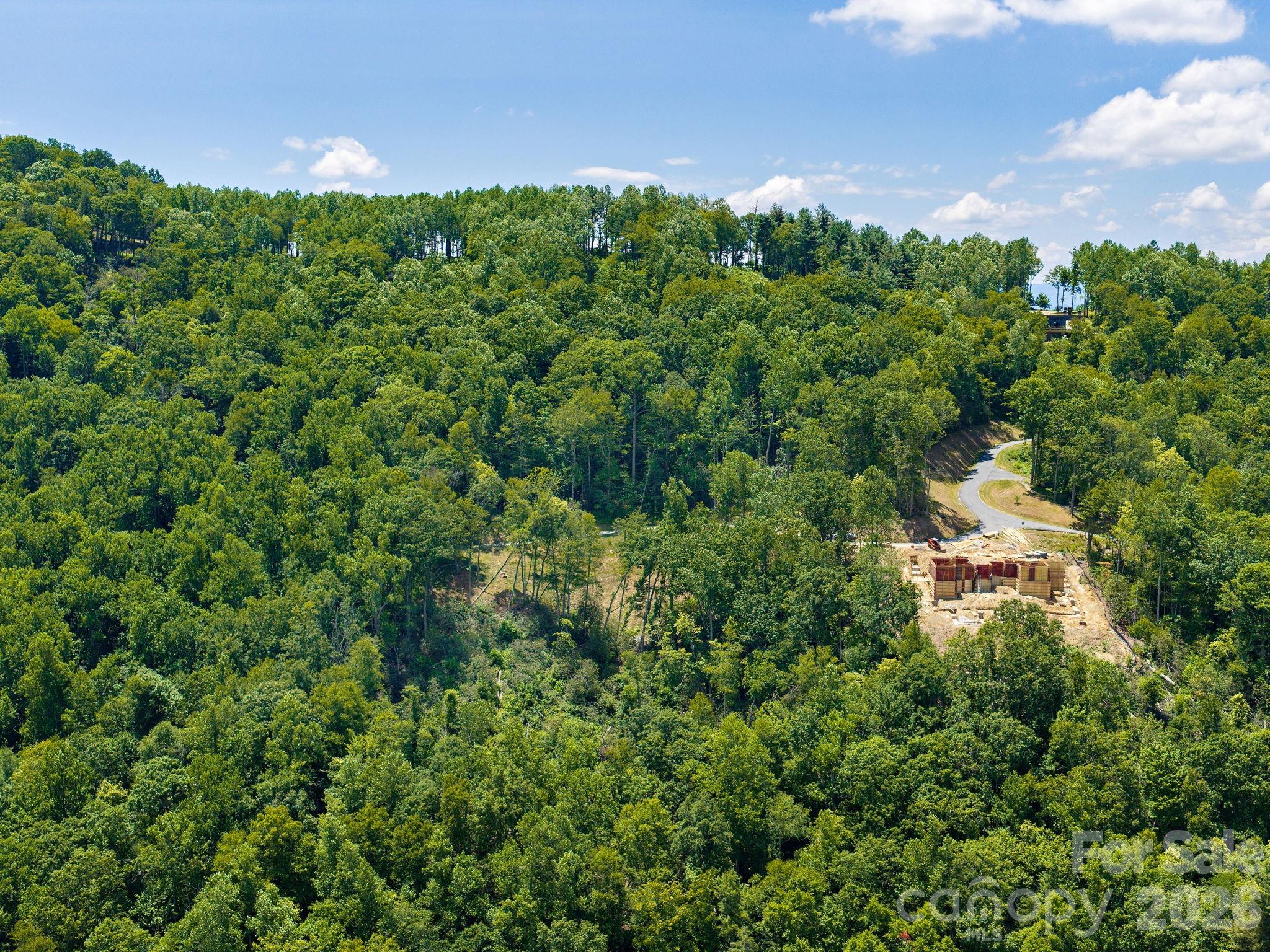 000 Hemlock Grove Trail 51 Property Photo 14