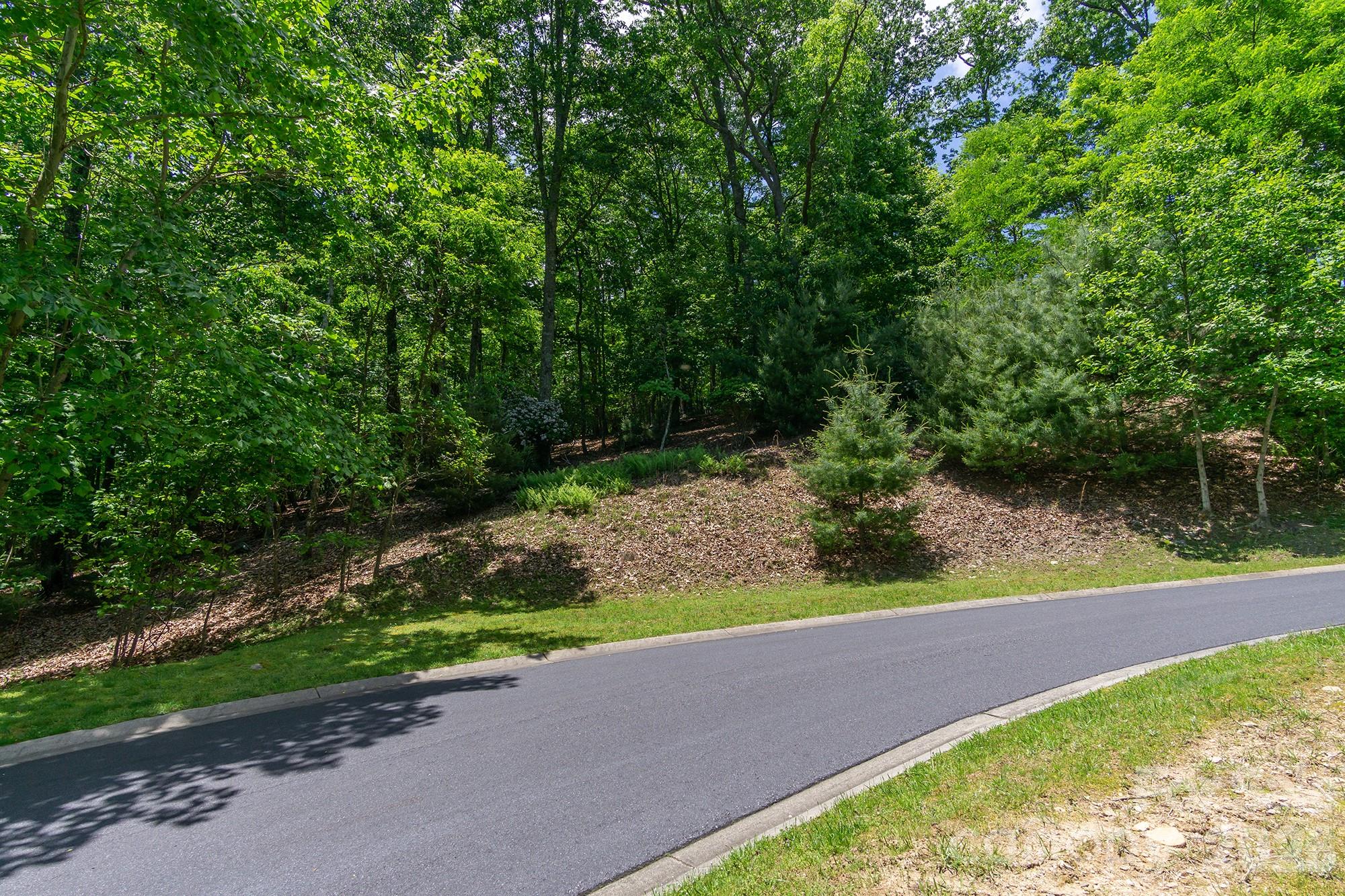 Lot 53r Mills River Way Lot 53r Property Photo 1