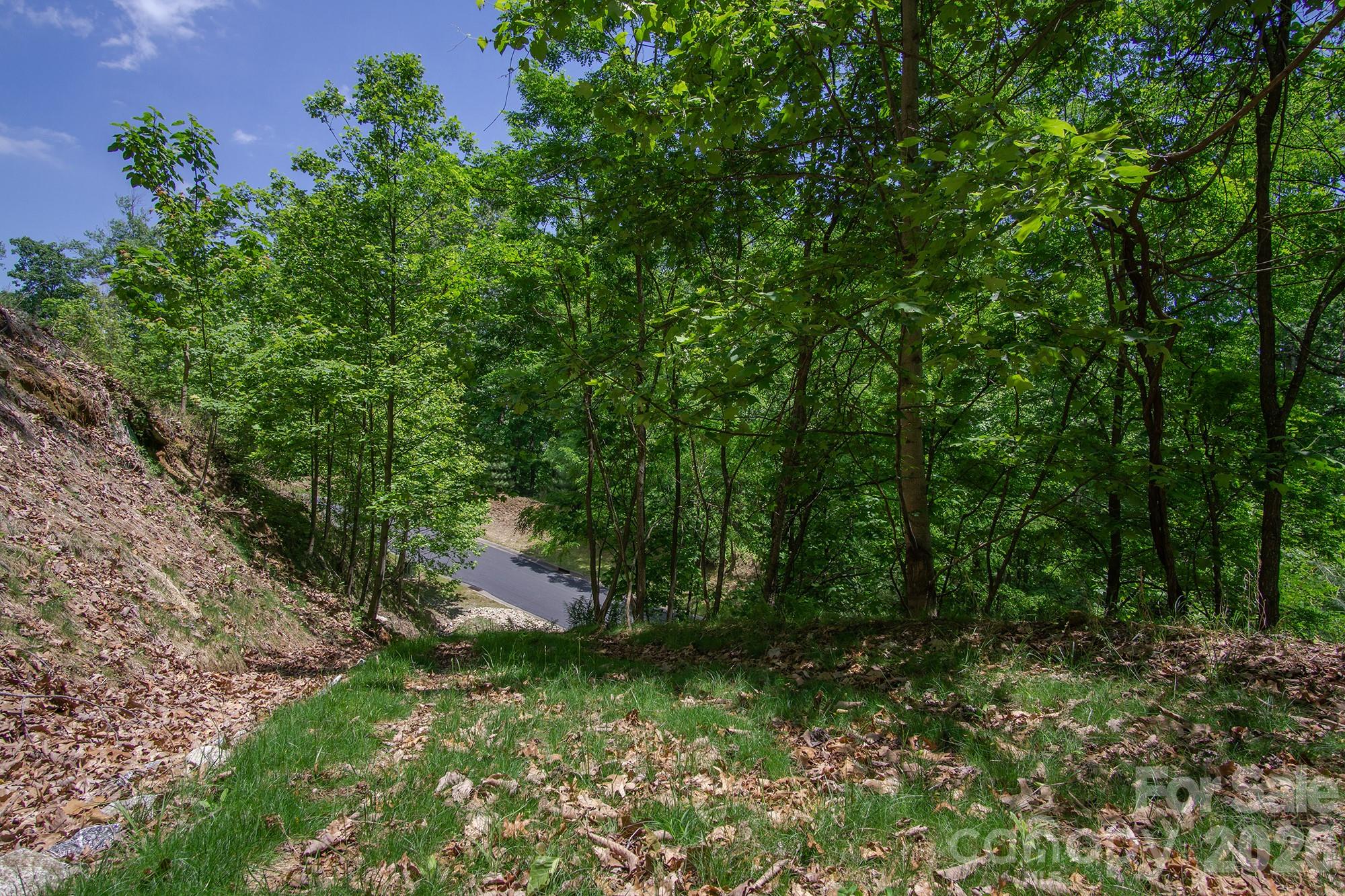 Lot 53r Mills River Way Lot 53r Property Photo 2