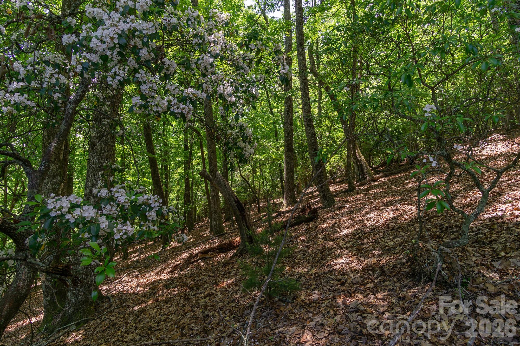 Lot 53r Mills River Way Lot 53r Property Photo 3