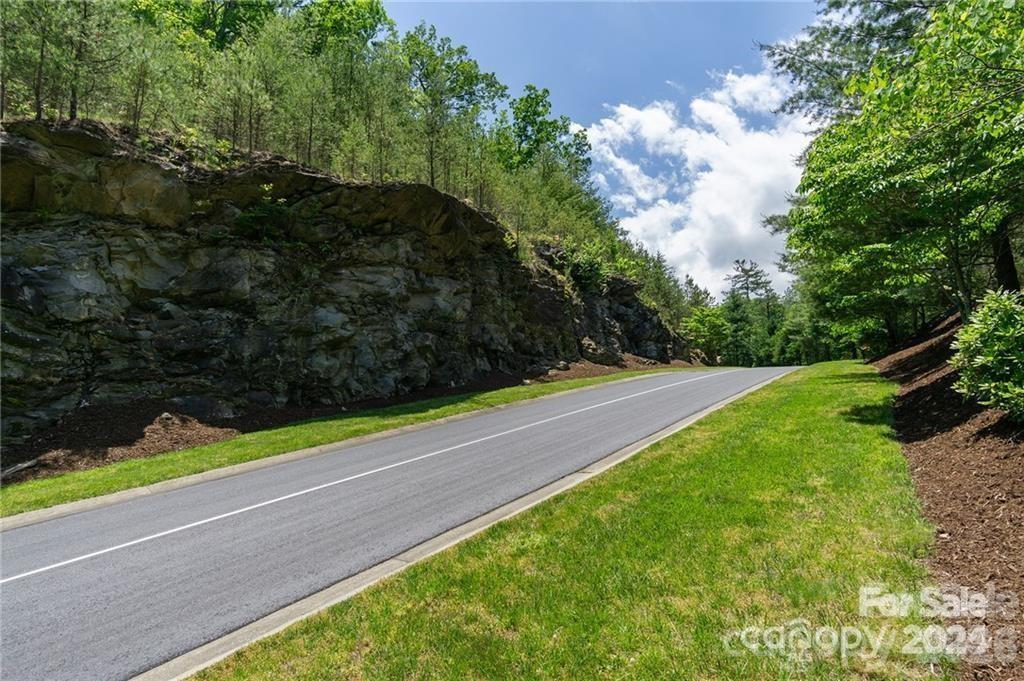 Lot 53r Mills River Way Lot 53r Property Photo 6