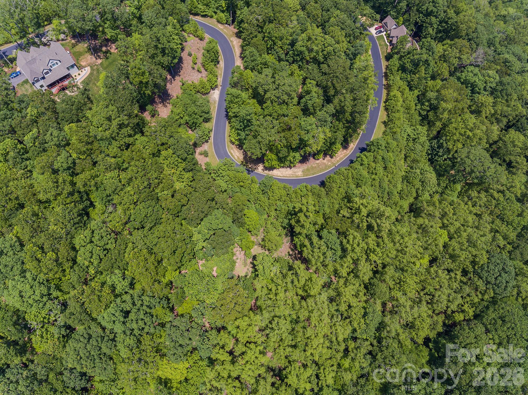 Lot 53r Mills River Way Lot 53r Property Photo 14