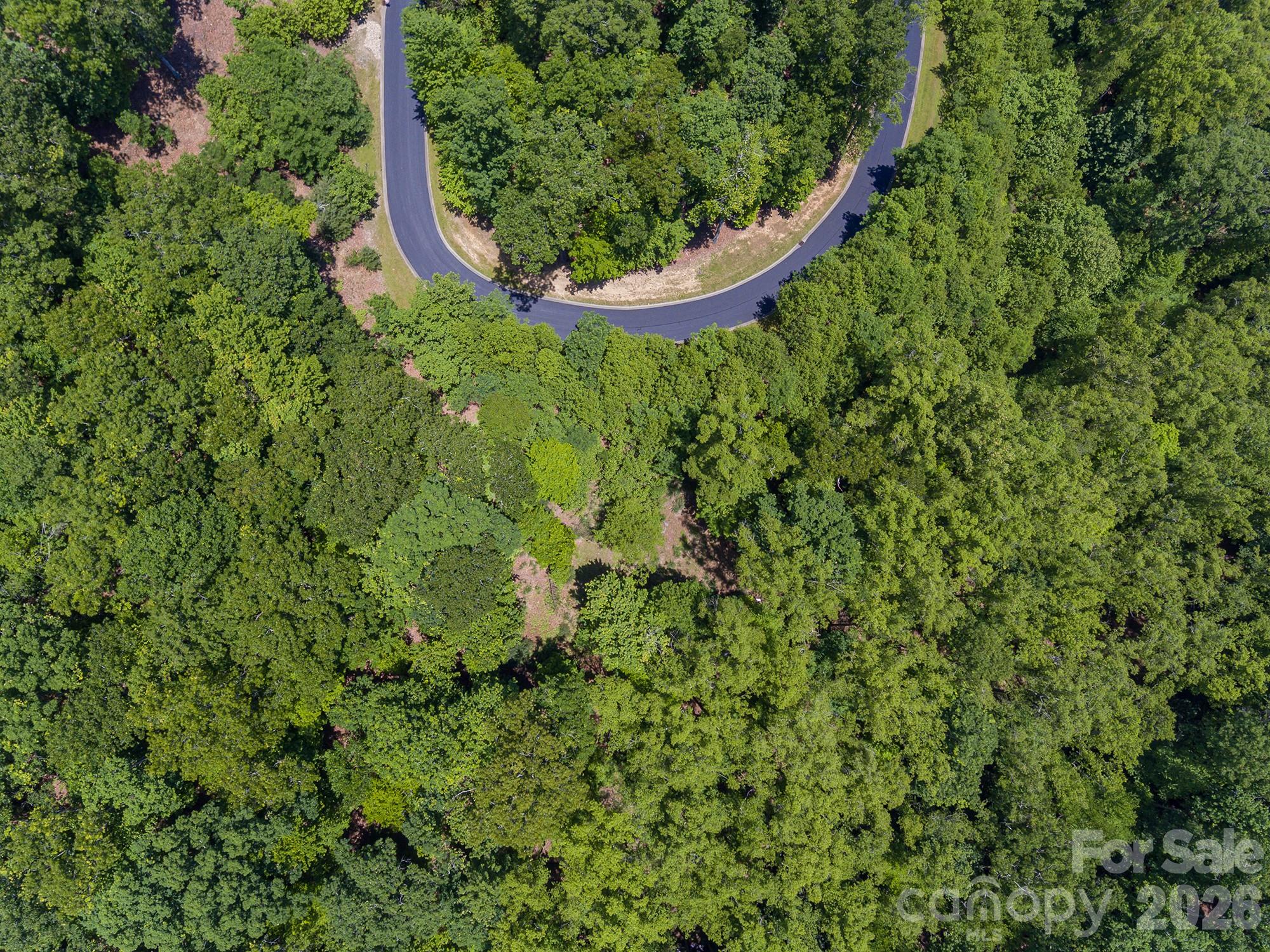 Lot 53r Mills River Way Lot 53r Property Photo 15