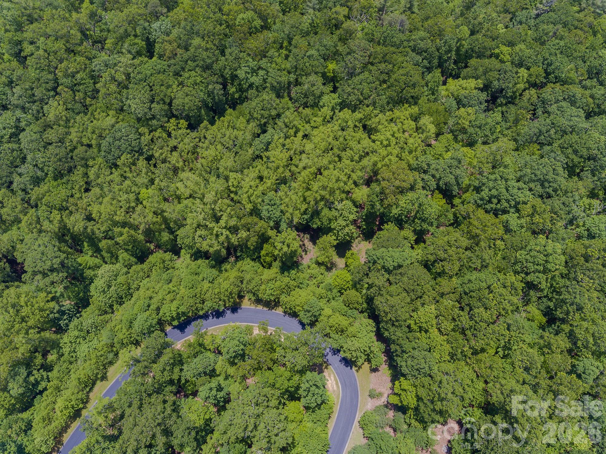 Lot 53r Mills River Way Lot 53r Property Photo 16