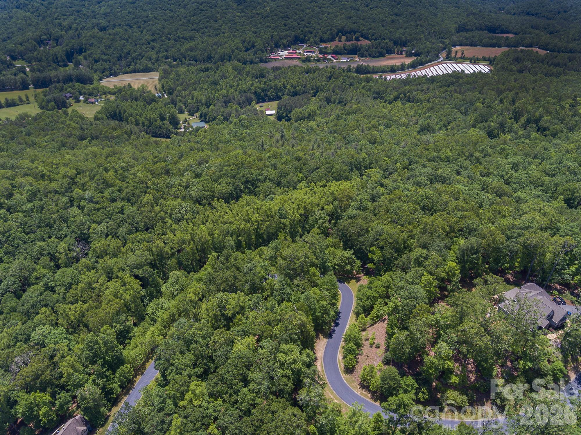 Lot 53r Mills River Way Lot 53r Property Photo 17
