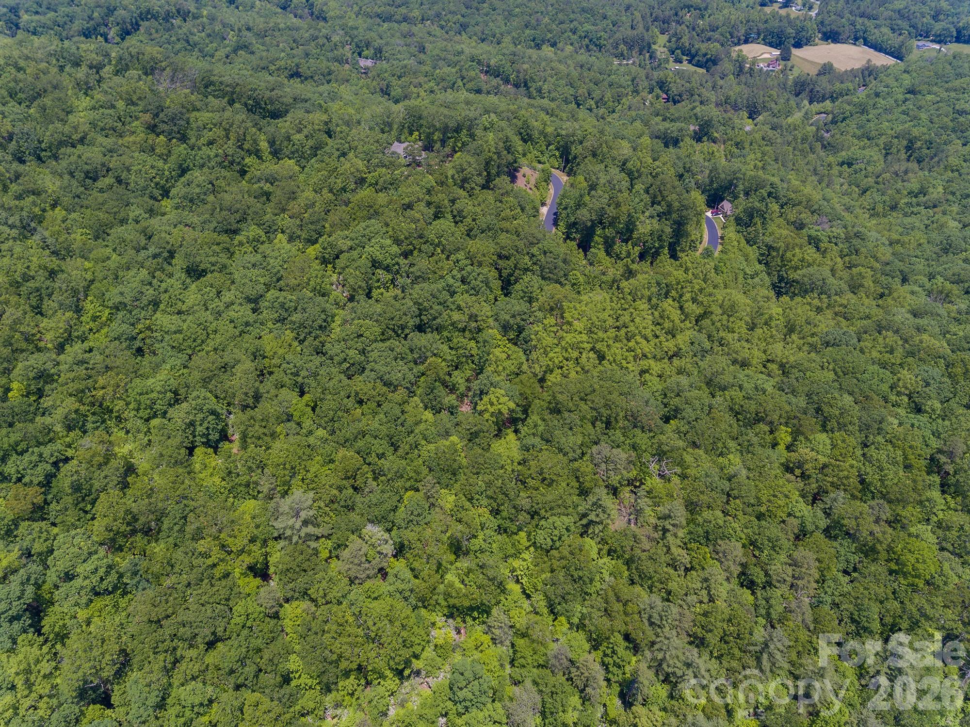 Lot 53r Mills River Way Lot 53r Property Photo 18