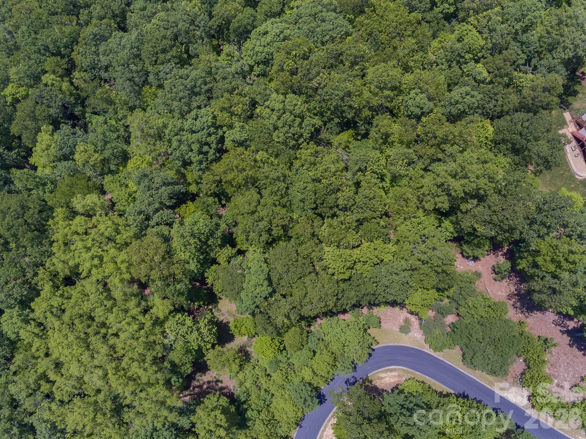 Lot 53r Mills River Way Lot 53r Property Photo 19