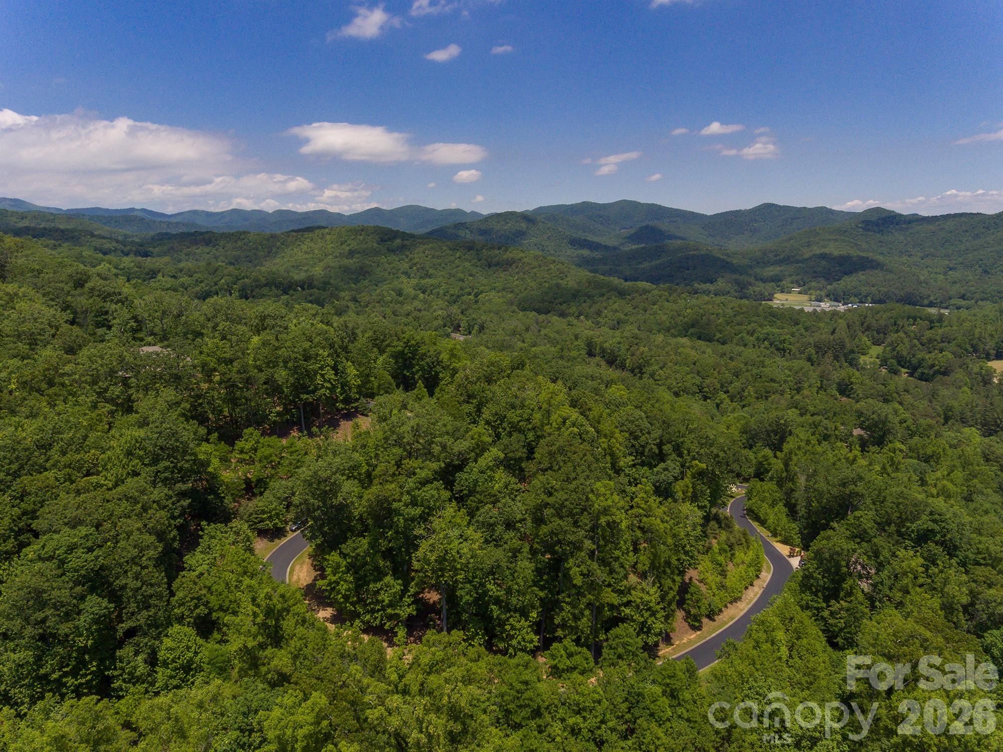Lot 53r Mills River Way Lot 53r Property Photo 20