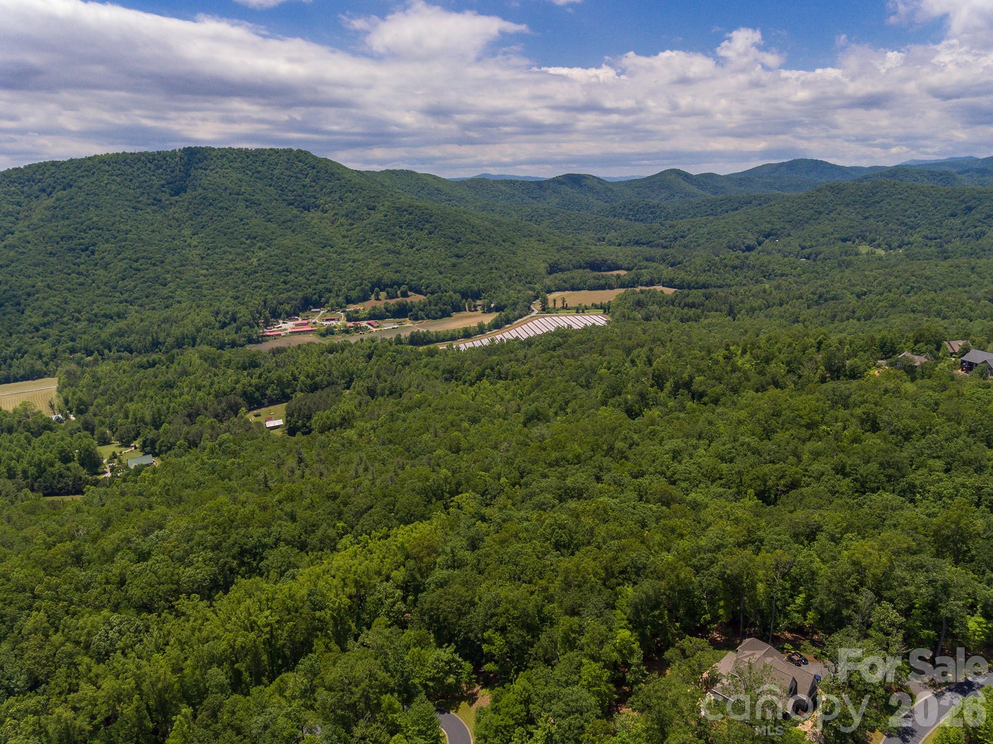 Lot 53r Mills River Way Lot 53r Property Photo 21