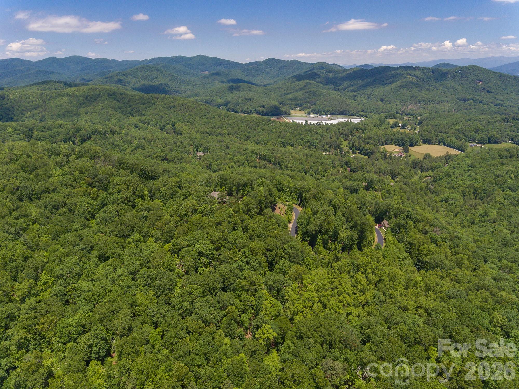 Lot 53r Mills River Way Lot 53r Property Photo 24