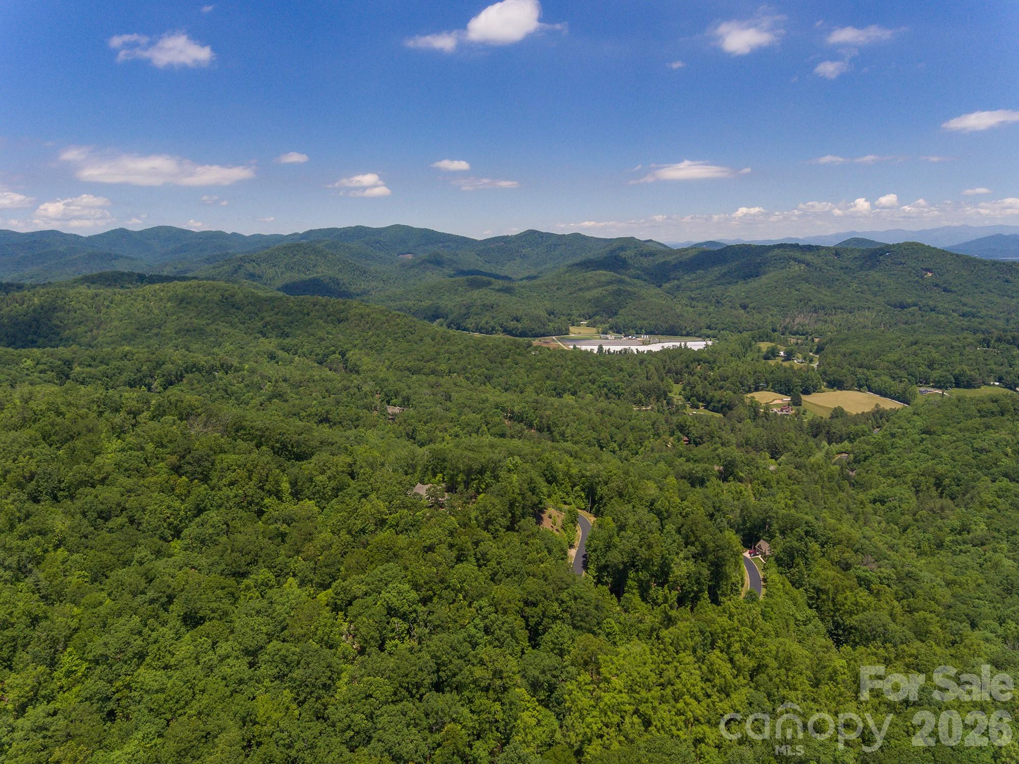 Lot 53r Mills River Way Lot 53r Property Photo 25