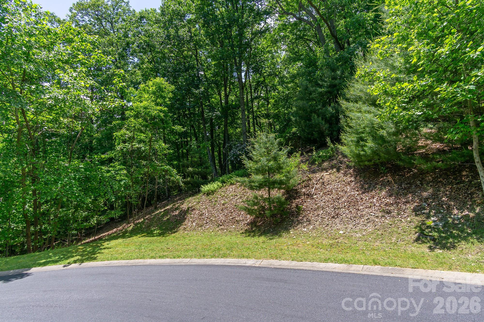 Lot 53r Mills River Way Lot 53r Property Photo 26