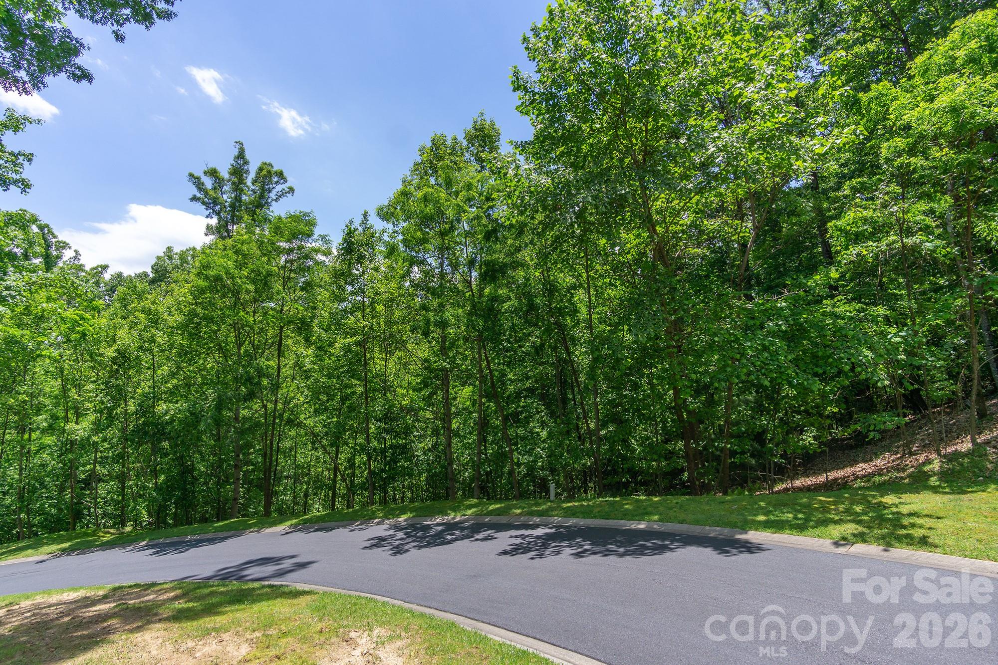 Lot 53r Mills River Way Lot 53r Property Photo 27