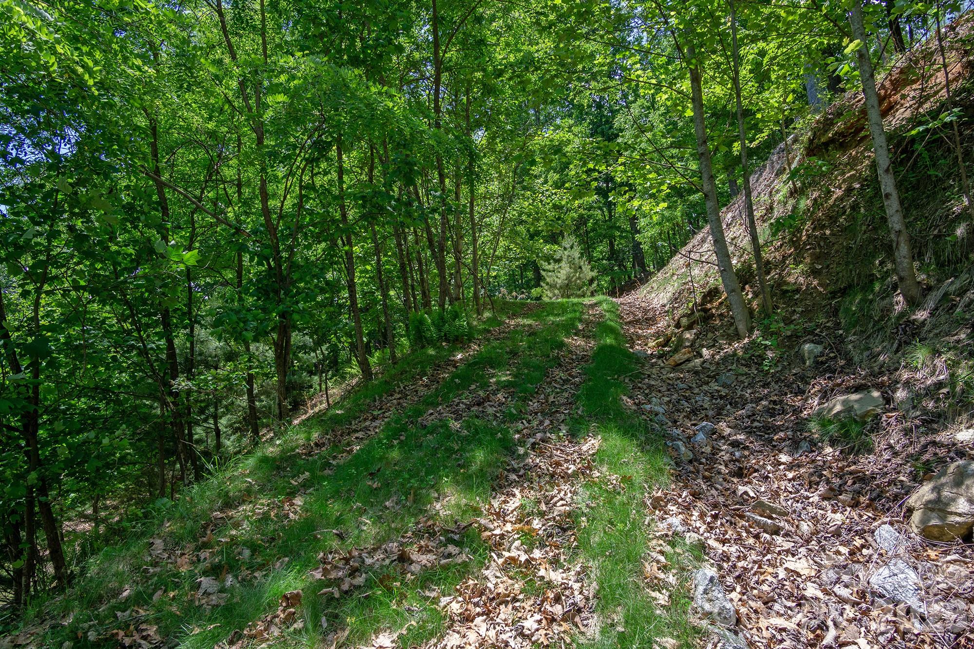 Lot 53r Mills River Way Lot 53r Property Photo 28