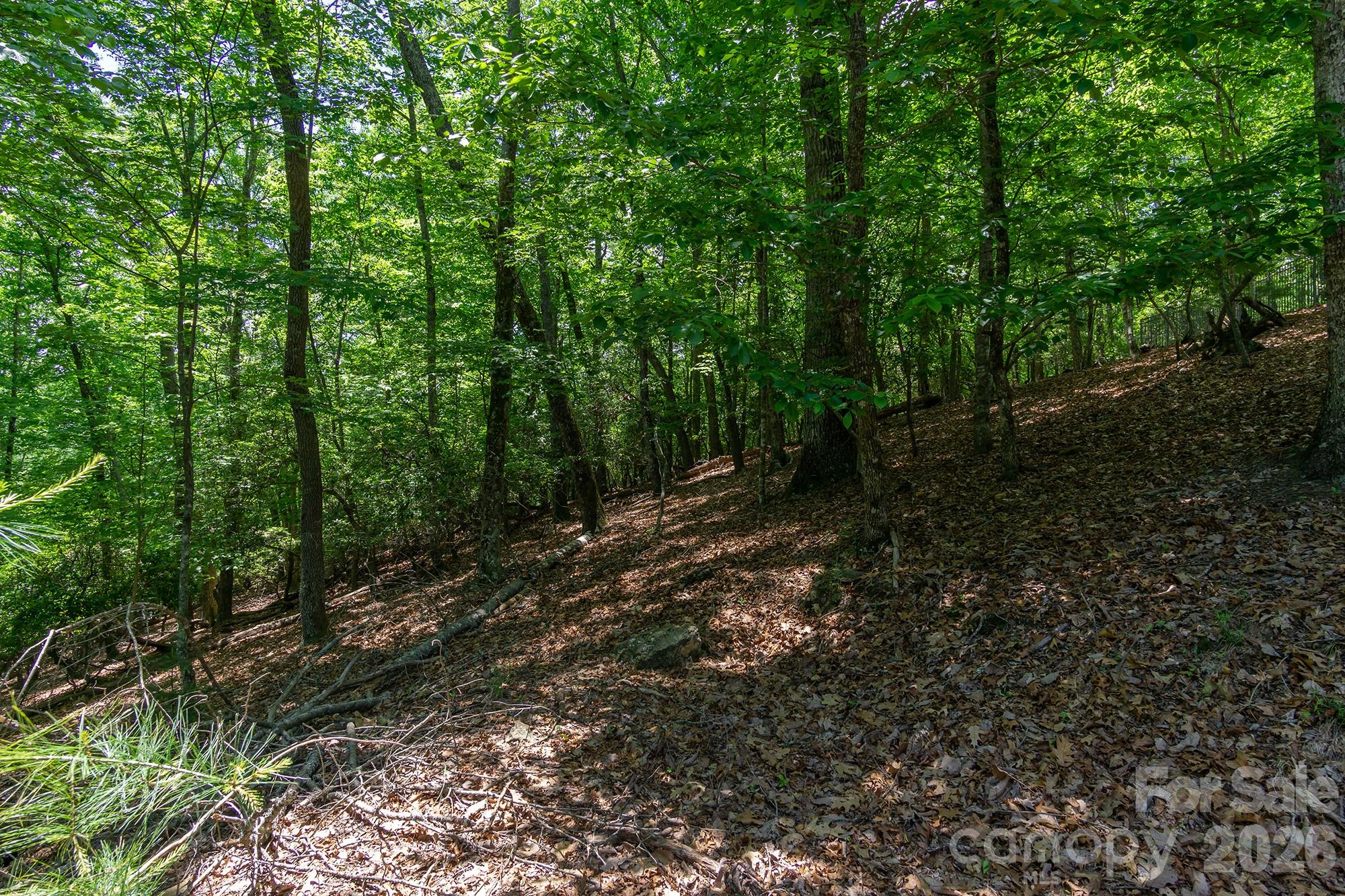 Lot 53r Mills River Way Lot 53r Property Photo 29