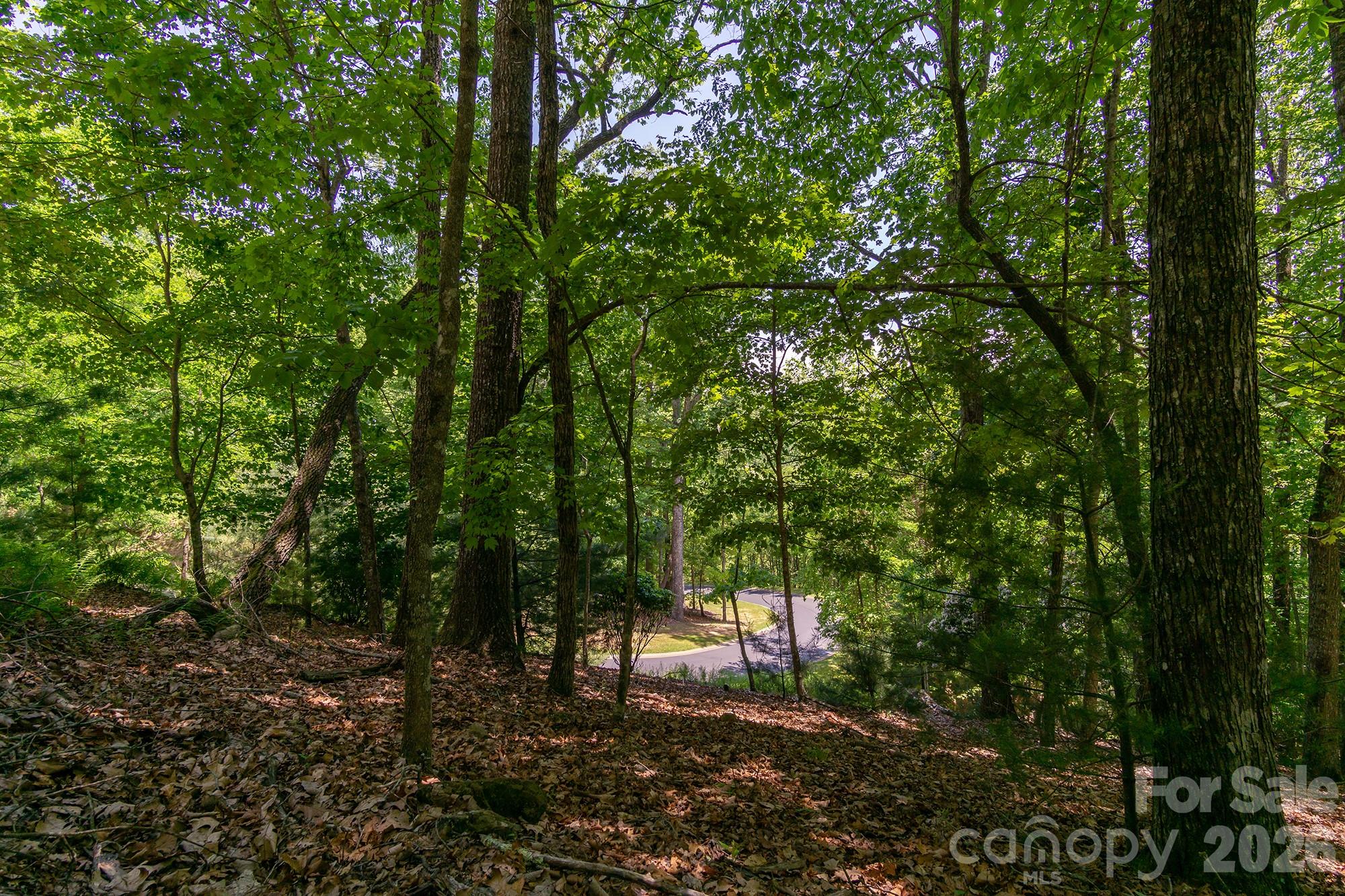 Lot 53r Mills River Way Lot 53r Property Photo 30