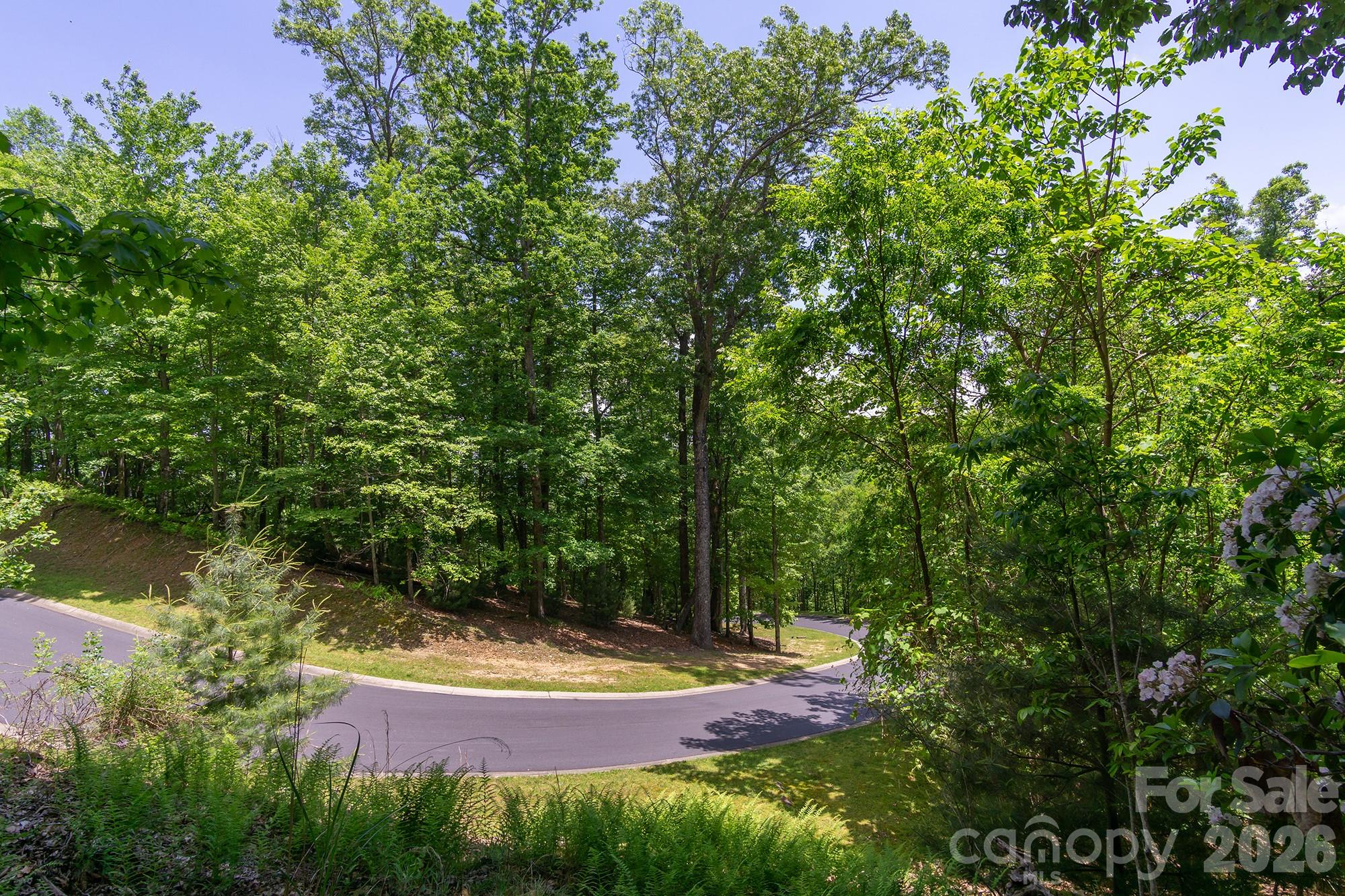 Lot 53r Mills River Way Lot 53r Property Photo 31