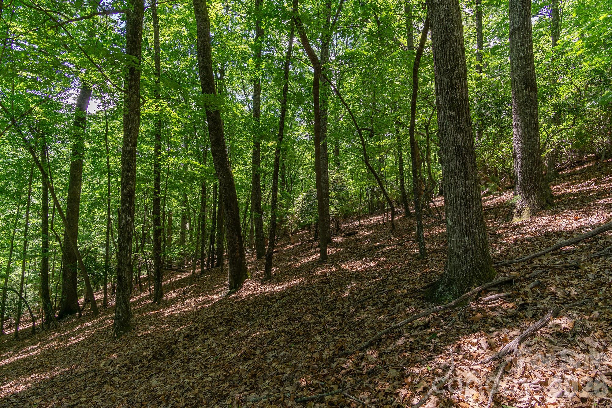 Lot 53r Mills River Way Lot 53r Property Photo 32